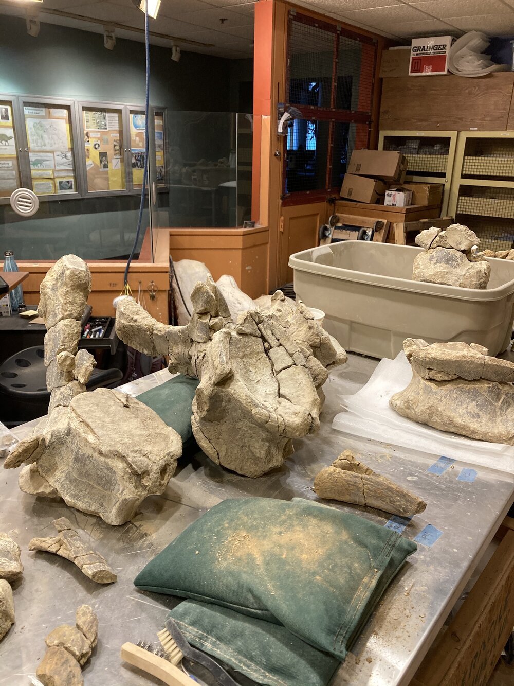 A Tail from the Prep Lab