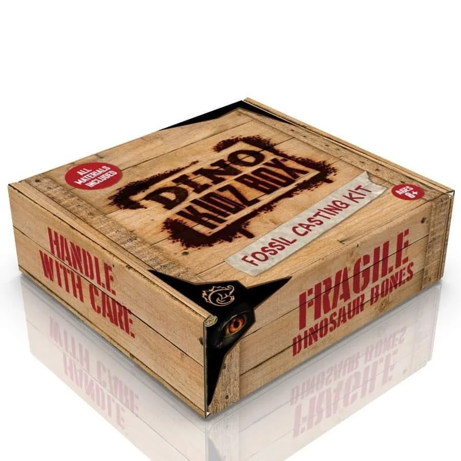 DINO KIDZ BOX! Fossil Casting Kit