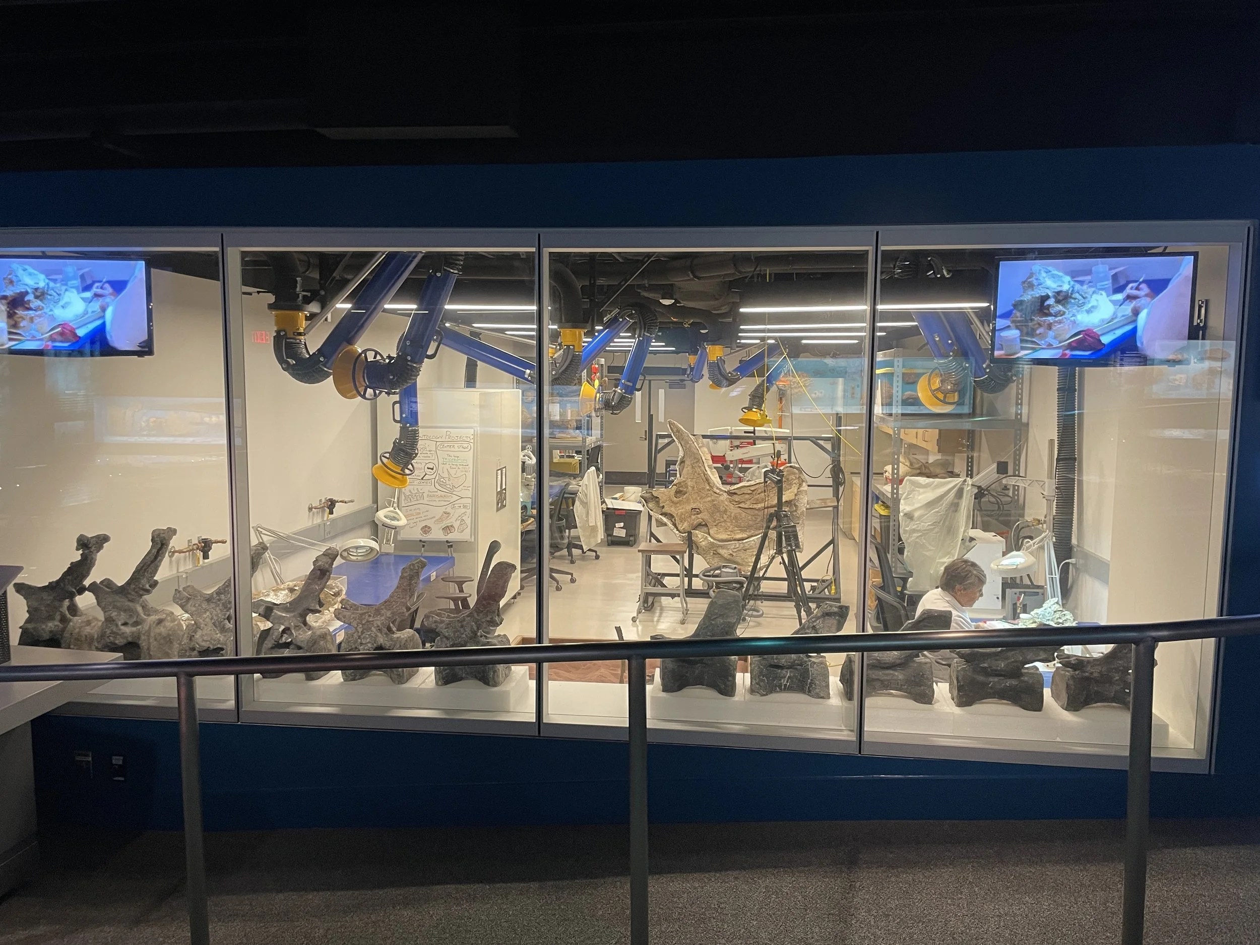 Big News ~ Expanding Our Adventures!