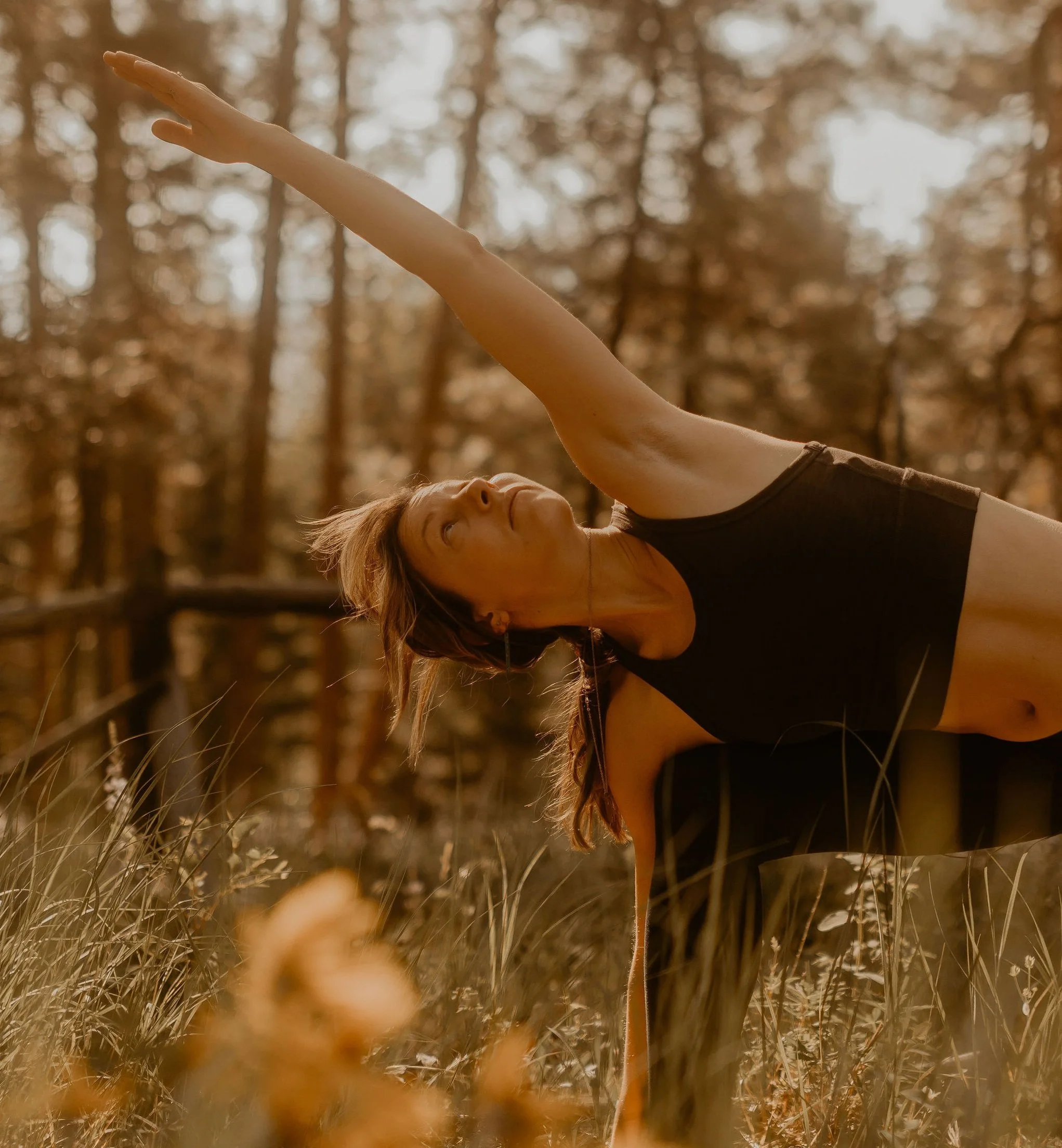 Purchase Field Experiences — Elevation Science Institute