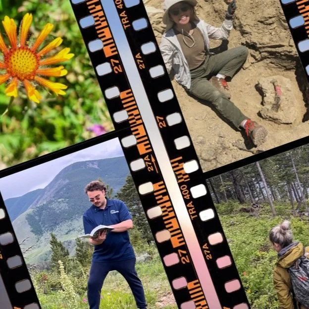 New Partnerships Bring New Programs!