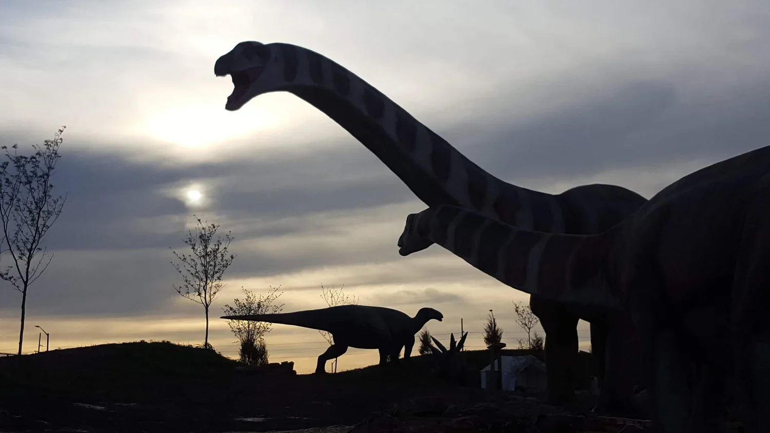 Saying Goodbye to Field Station: Dinosaurs