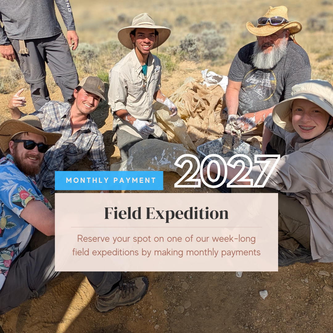 Product Thumbnails (3).png