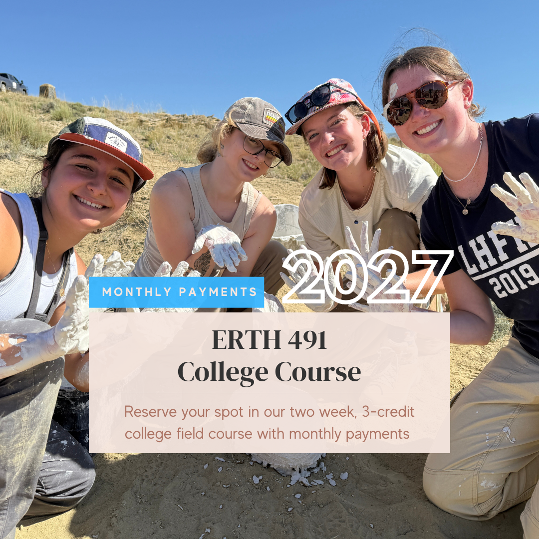 Product Thumbnails.png