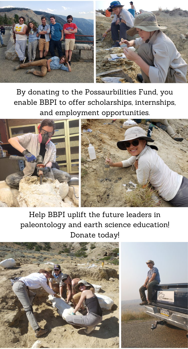 Paleontology Internship Opportunities — Elevation Science Institute