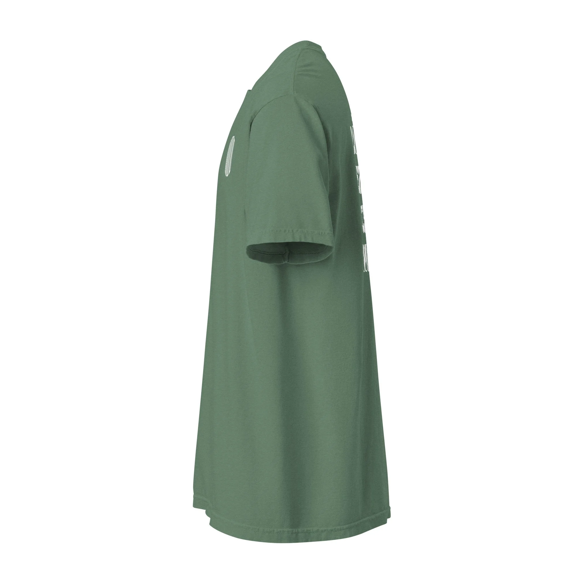 unisex-garment-dyed-heavyweight-t-shirt-light-green-left-6a473468755a3.jpg