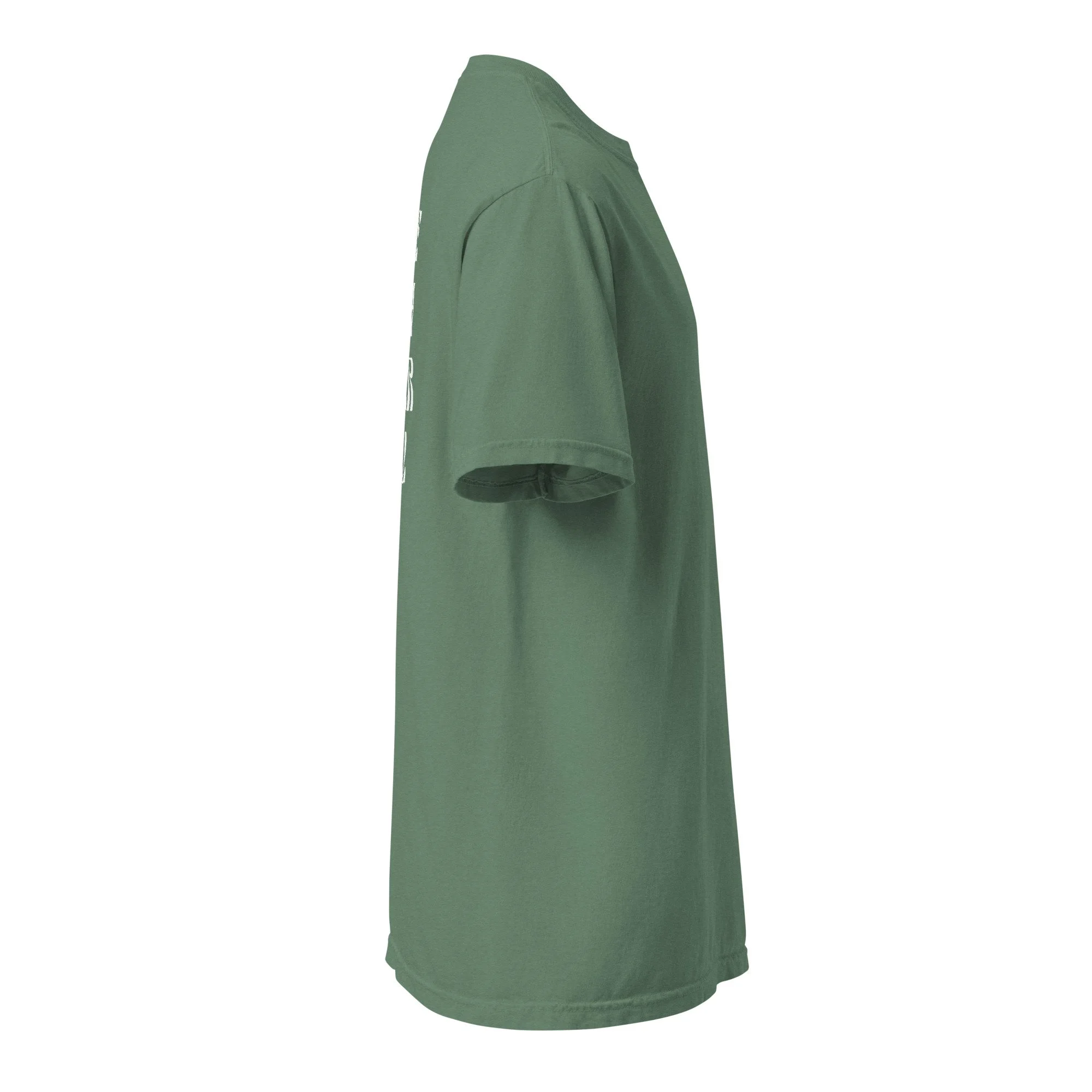unisex-garment-dyed-heavyweight-t-shirt-light-green-right-6a47346876816.jpg