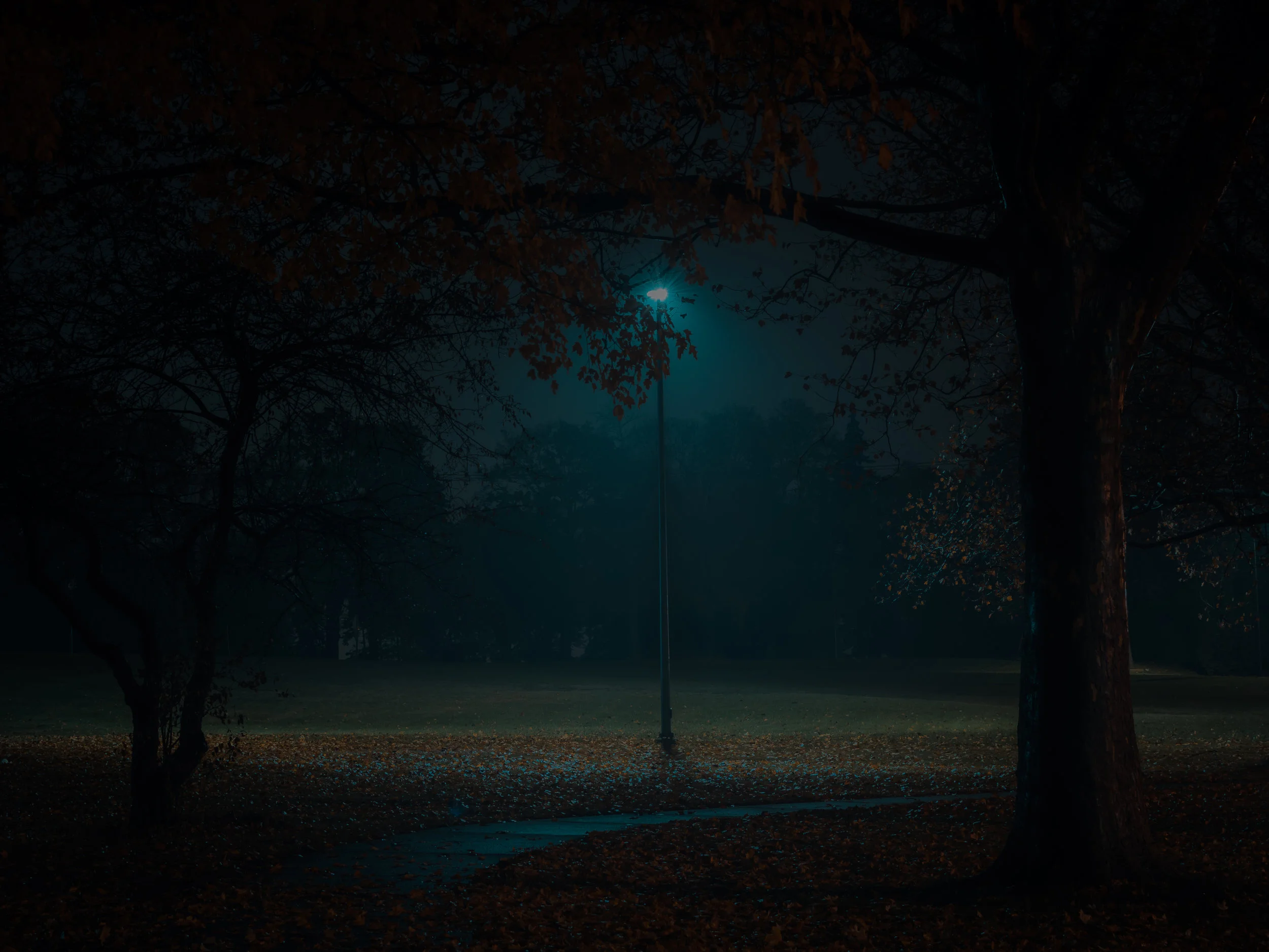 DSC_0165-2.jpg