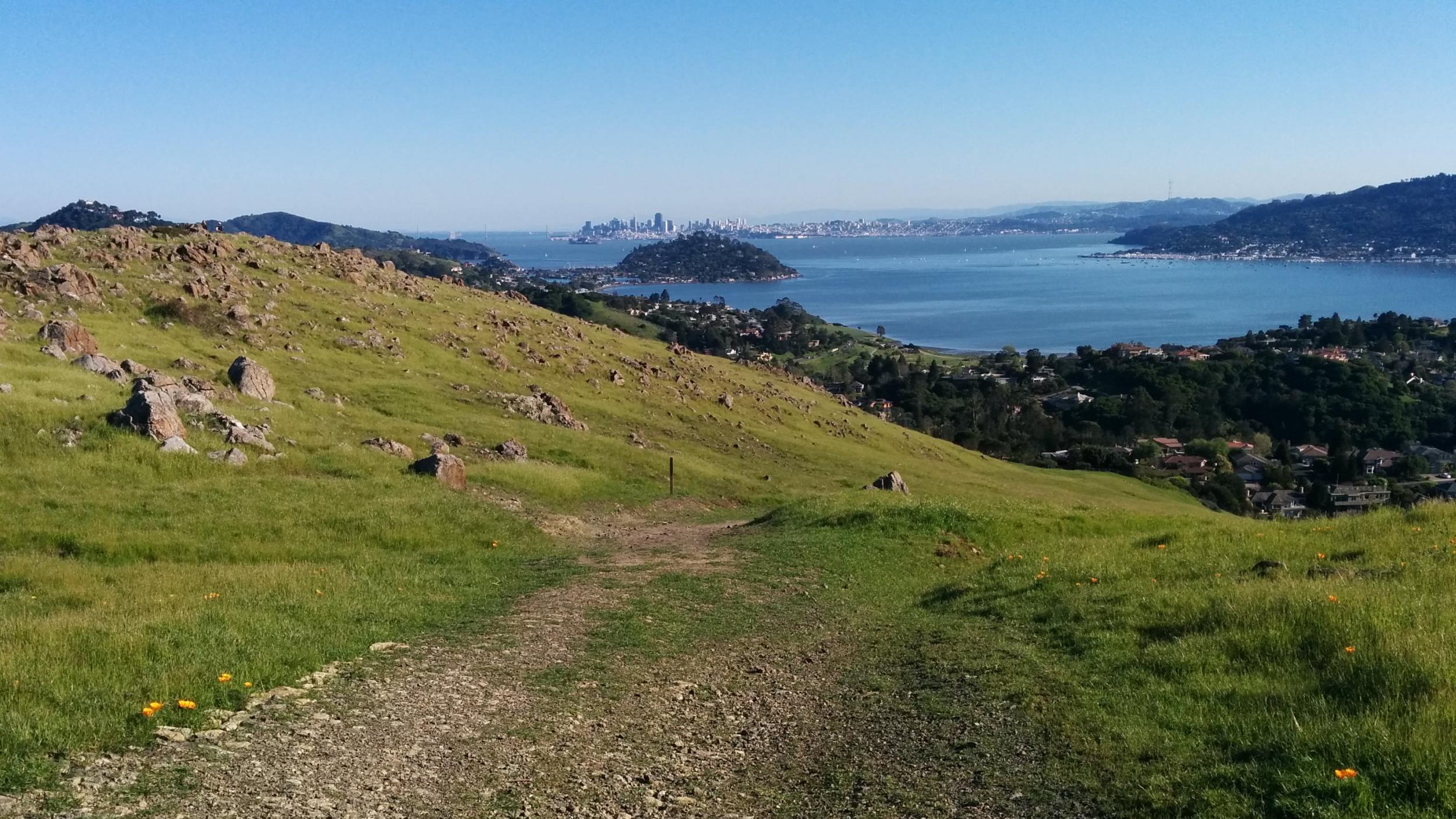 Ring Mtn, View South,75pc.jpg