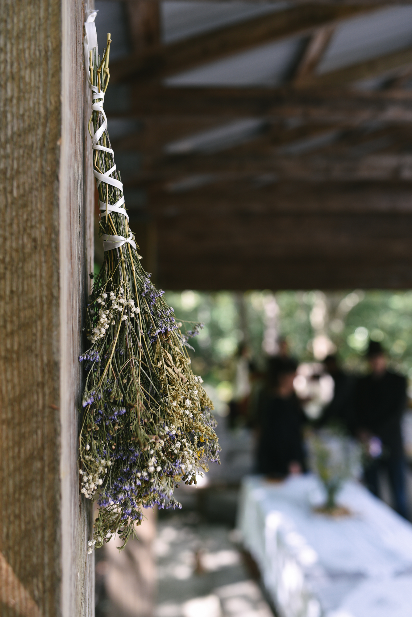  Mountain Wedding, Outdoors, Rustic, West Virginia, Maryland Wedding Photographer, DIY, Casual, Close up of dried flowers 