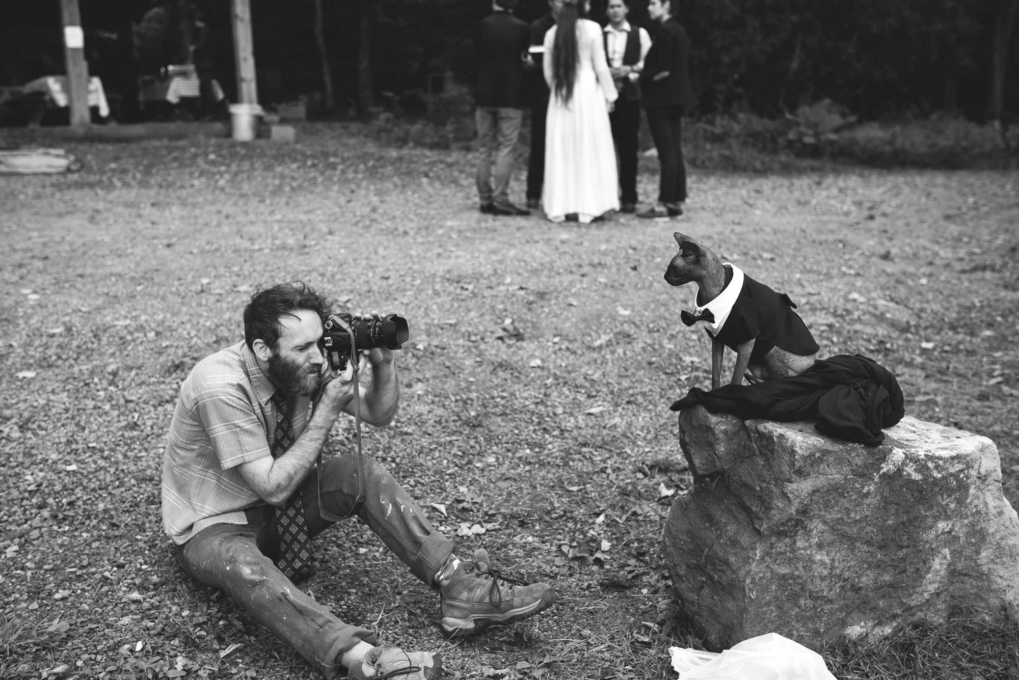  Mountain Wedding, Outdoors, Rustic, West Virginia, Maryland Wedding Photographer, DIY, Casual, Wedding Guests taking photo of cat in bowtie, Pets, Black and White Photo 