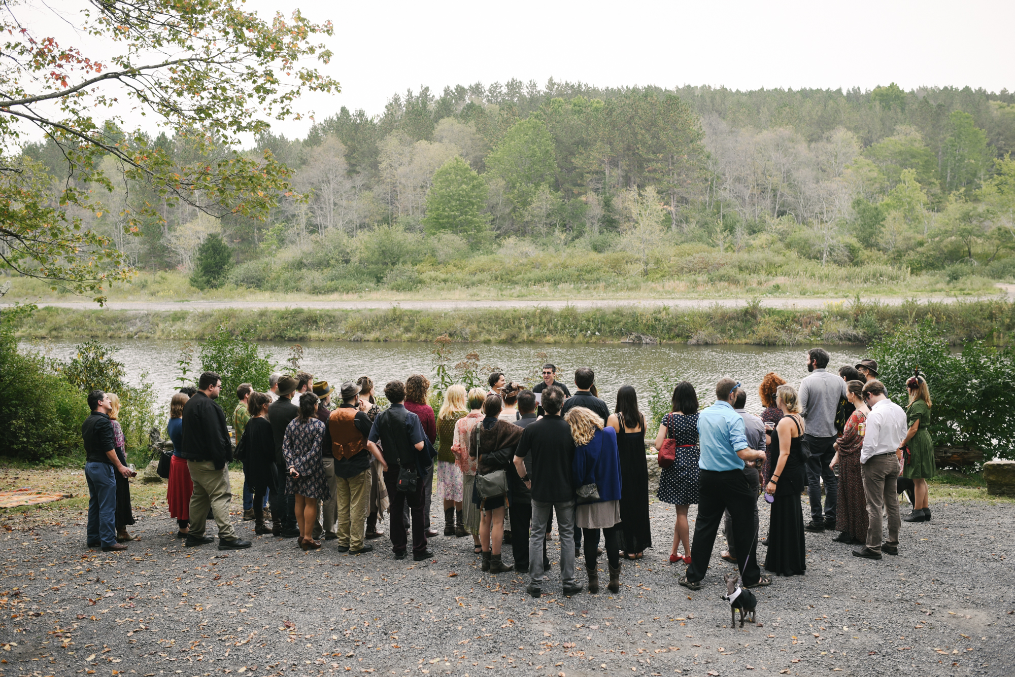  Mountain Wedding, Outdoors, Rustic, West Virginia, Maryland Wedding Photographer, DIY, Casual, Guests gathering to watch ceremony, cat with bowtie, pets 