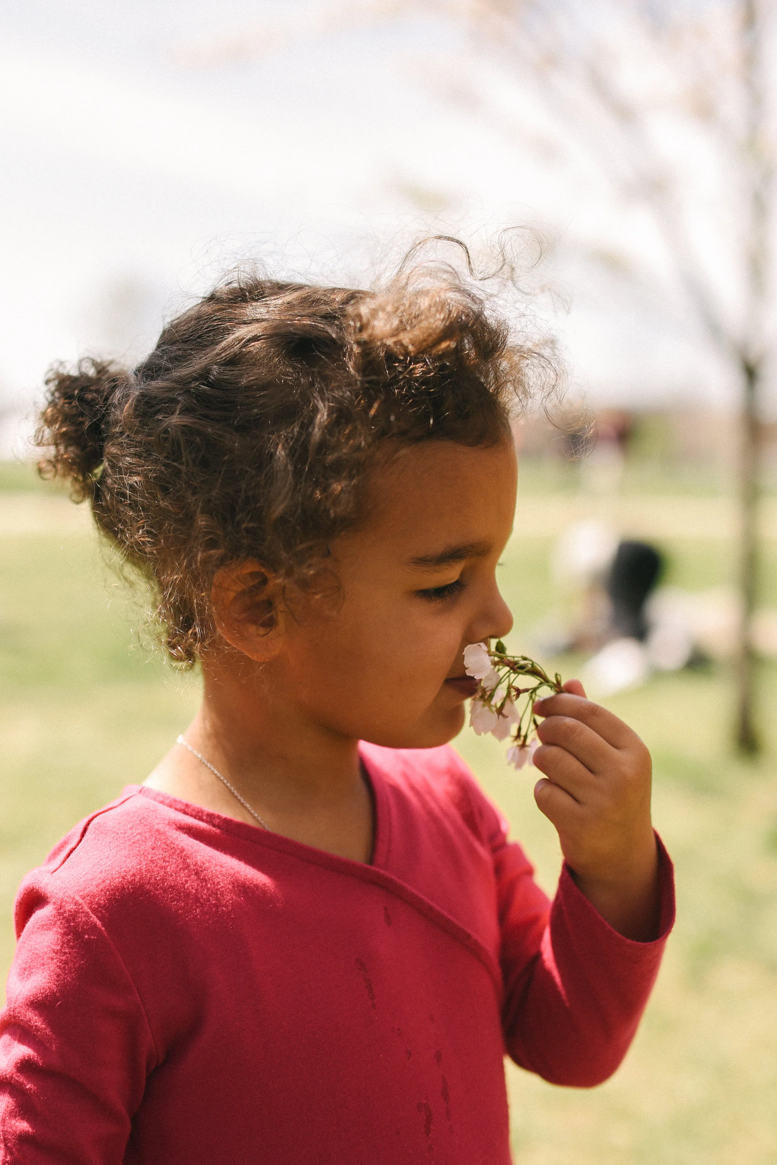 Amelia April 2017-5.jpg