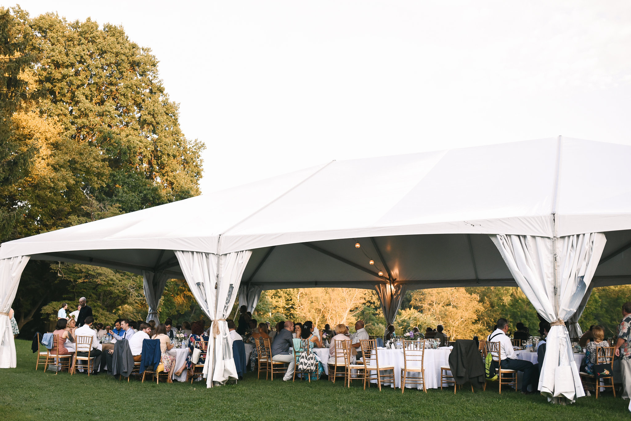  Maryland, Eastern Shore, Baltimore Wedding Photographer, Romantic, Boho, Backyard Wedding, Nature, Outdoor Reception Under White Tent, Wedding Guests Enjoying Reception 