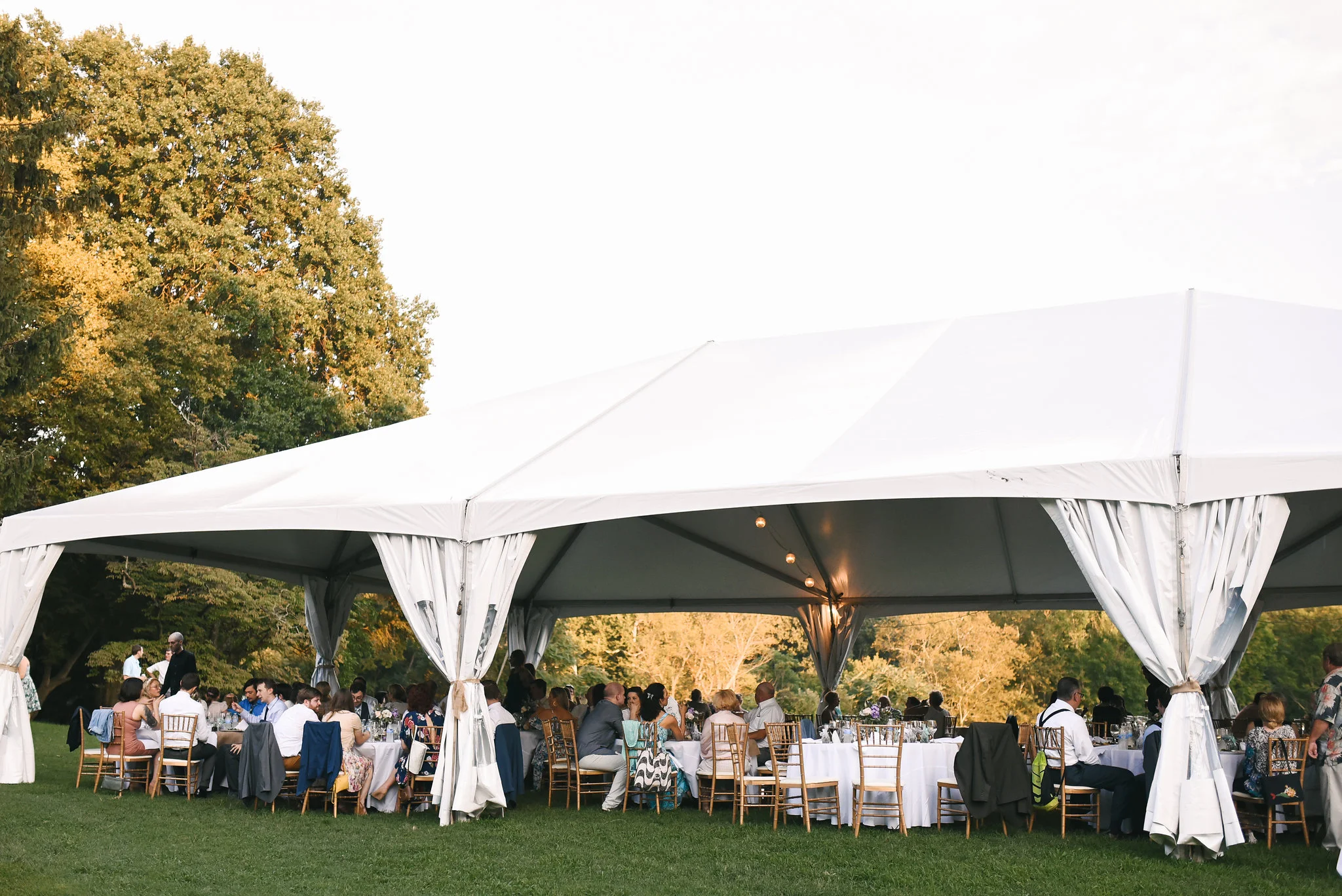 Maryland, Eastern Shore, Baltimore Wedding Photographer, Romantic, Boho, Backyard Wedding, Nature, Outdoor Reception Under White Tent, Wedding Guests Enjoying Reception