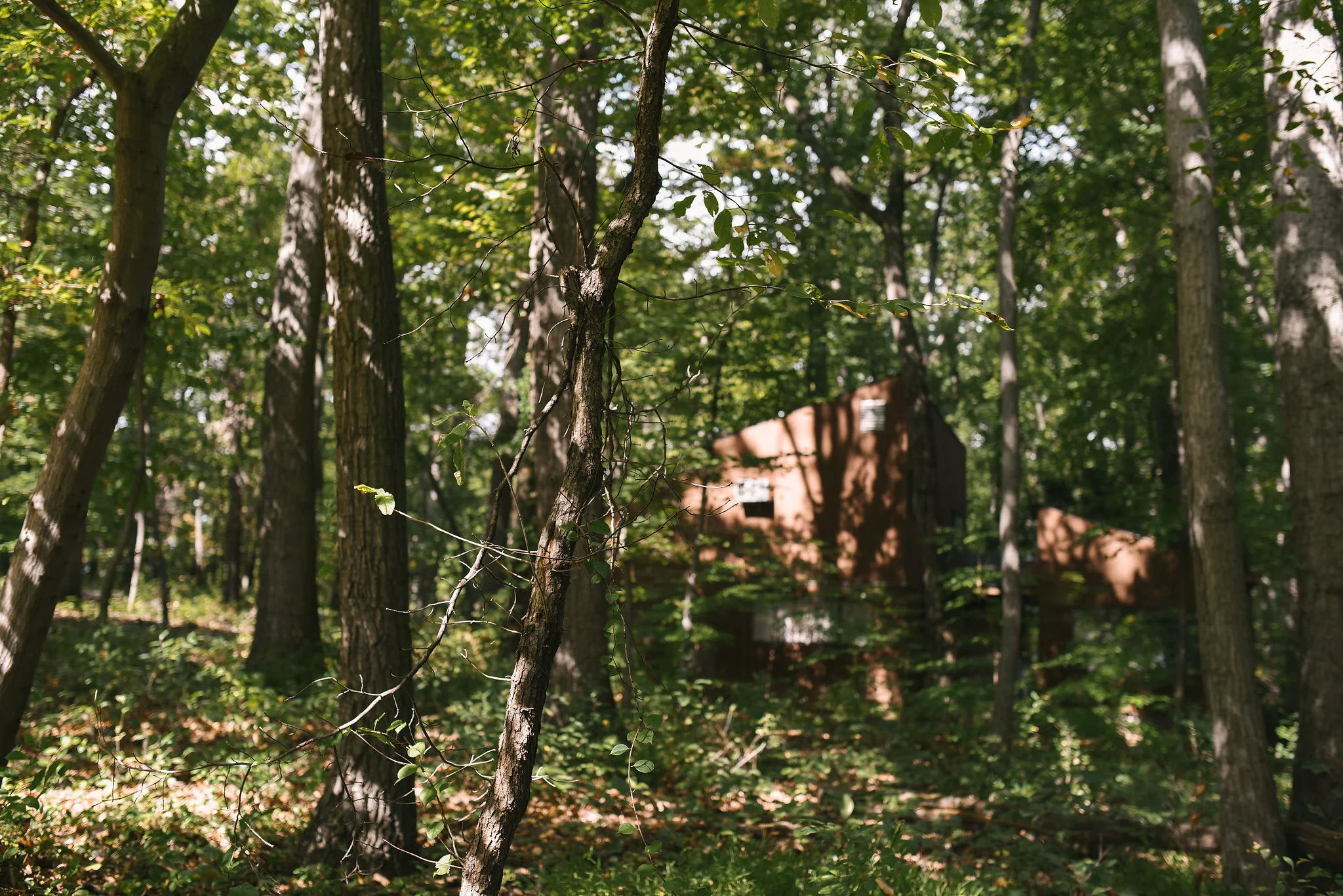 Vintage, DIY, Rustic, Germantown, Baltimore Wedding Photographer, Alternative, Casual, Outdoor Wedding, Church Wedding, Whimsical, Campground, Location Photo