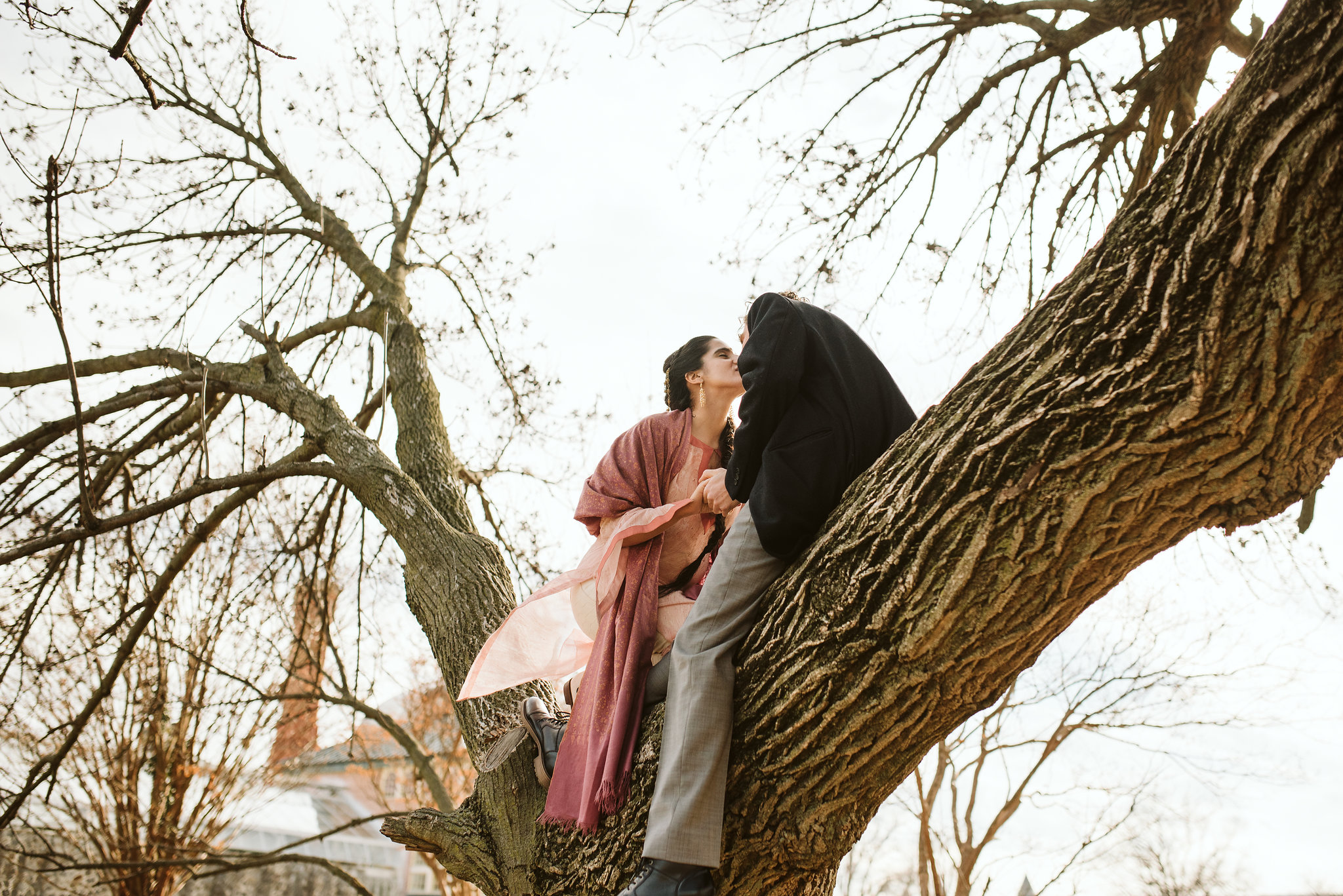 Elopement, Weekday Wedding, Towson, Rawlings Conservatory, Greenhouse, Baltimore Wedding Photographer, Indian American, Outdoor, Nature, Romantic, Garden, Whimsical, Bride and Groom, Kissing in a Tree