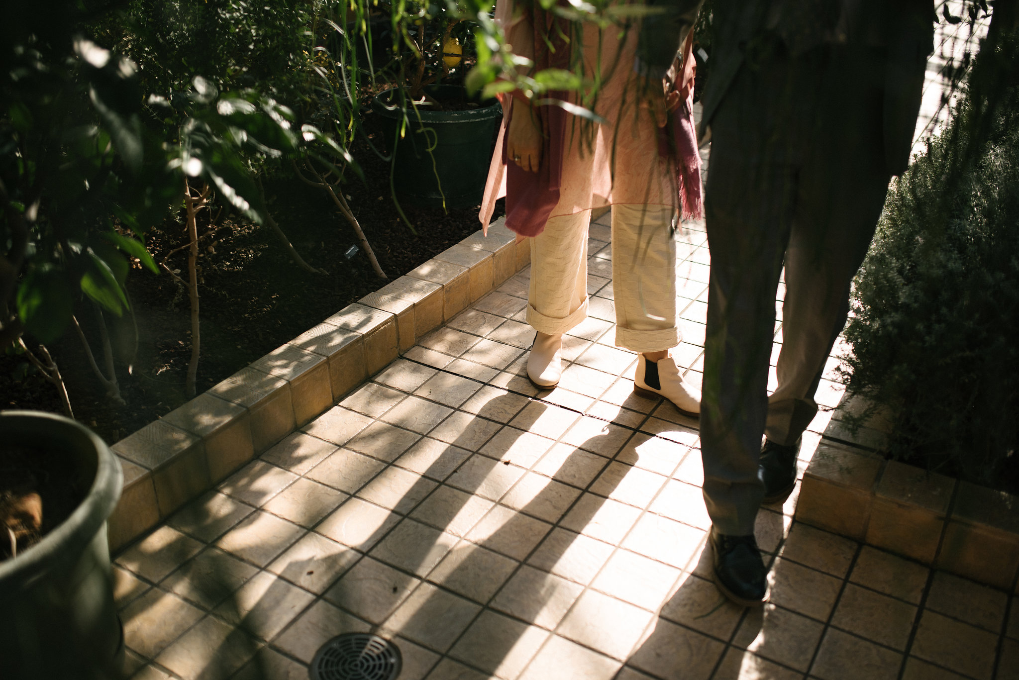 Elopement, Weekday Wedding, Towson, Rawlings Conservatory, Greenhouse, Baltimore Wedding Photographer, Indian American, Outdoor, Nature, Romantic, Garden, Casual, Walking in Sunlight
