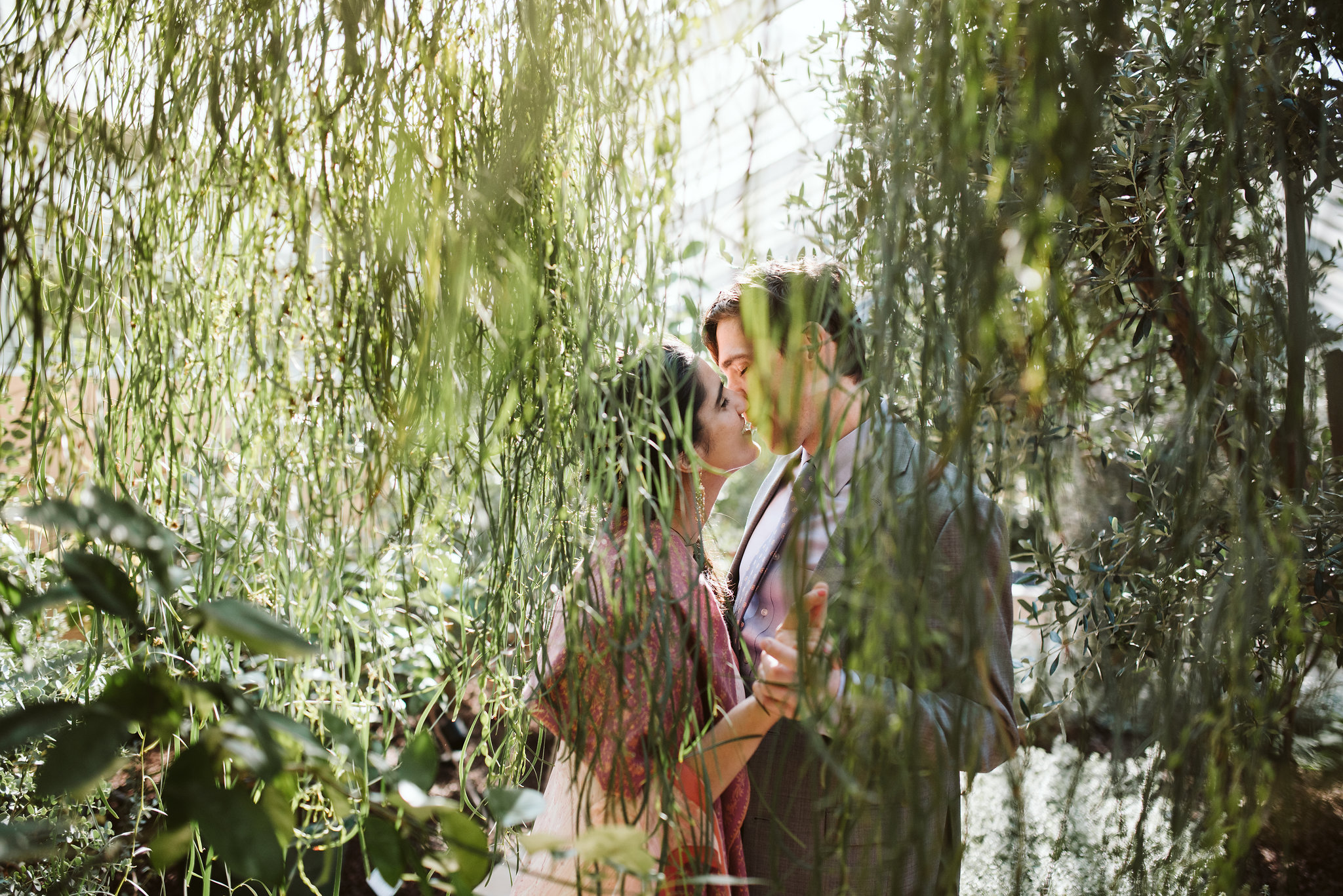 Elopement, Weekday Wedding, Rawlings Conservatory, Greenhouse, Baltimore Wedding Photographer, Outdoor, Nature, Romantic, Garden, Bride and Groom Kissing, Secluded Moments, Candid Photo