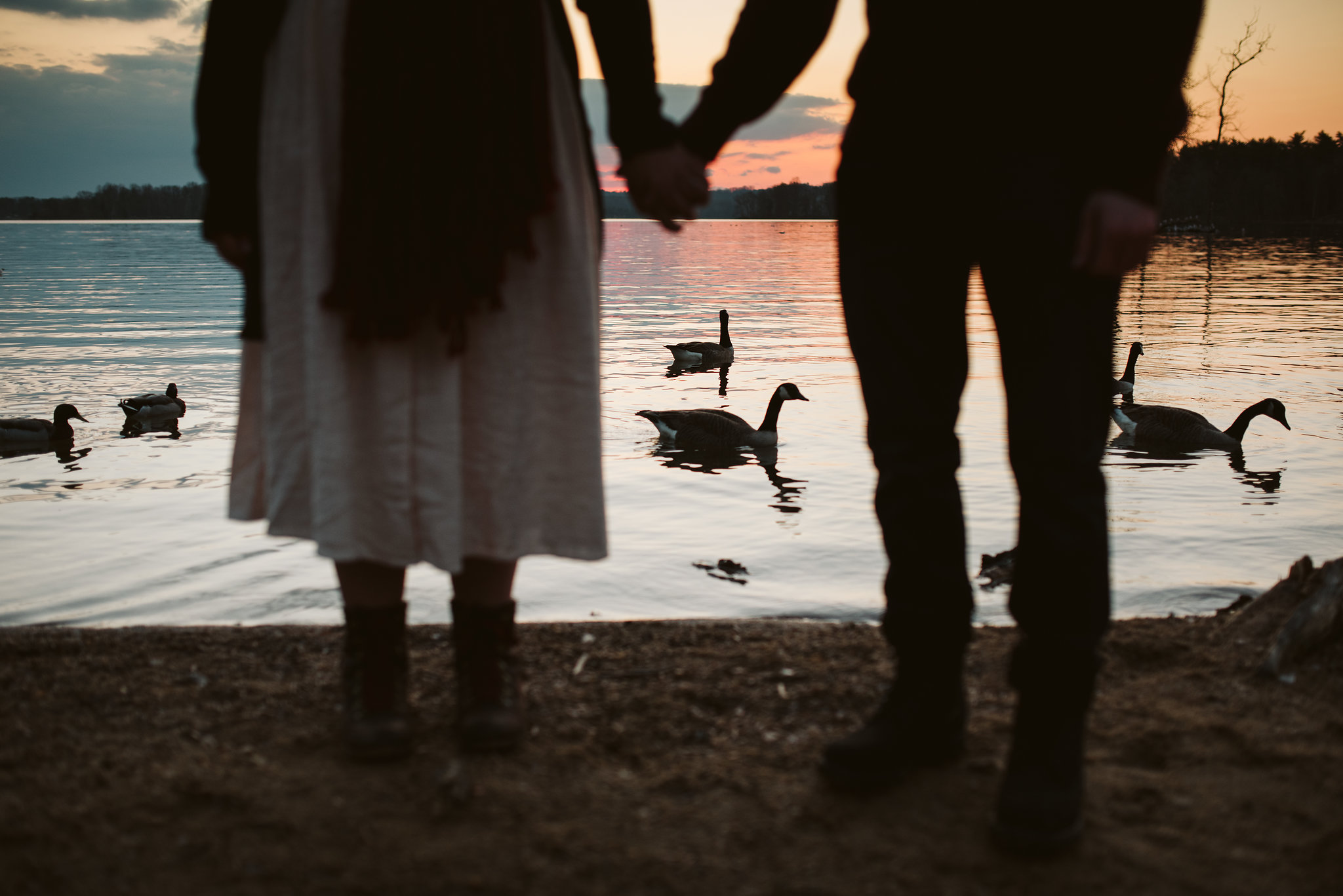  Baltimore County, Loch Raven Reservoir, Maryland Wedding Photographer, Winter, Engagement Photos, Nature, Romantic, Classic, Silhouette of Couple Holding Hands by Water, Sunset over Reservoir, Wildlife, Rustic, Laid Back 