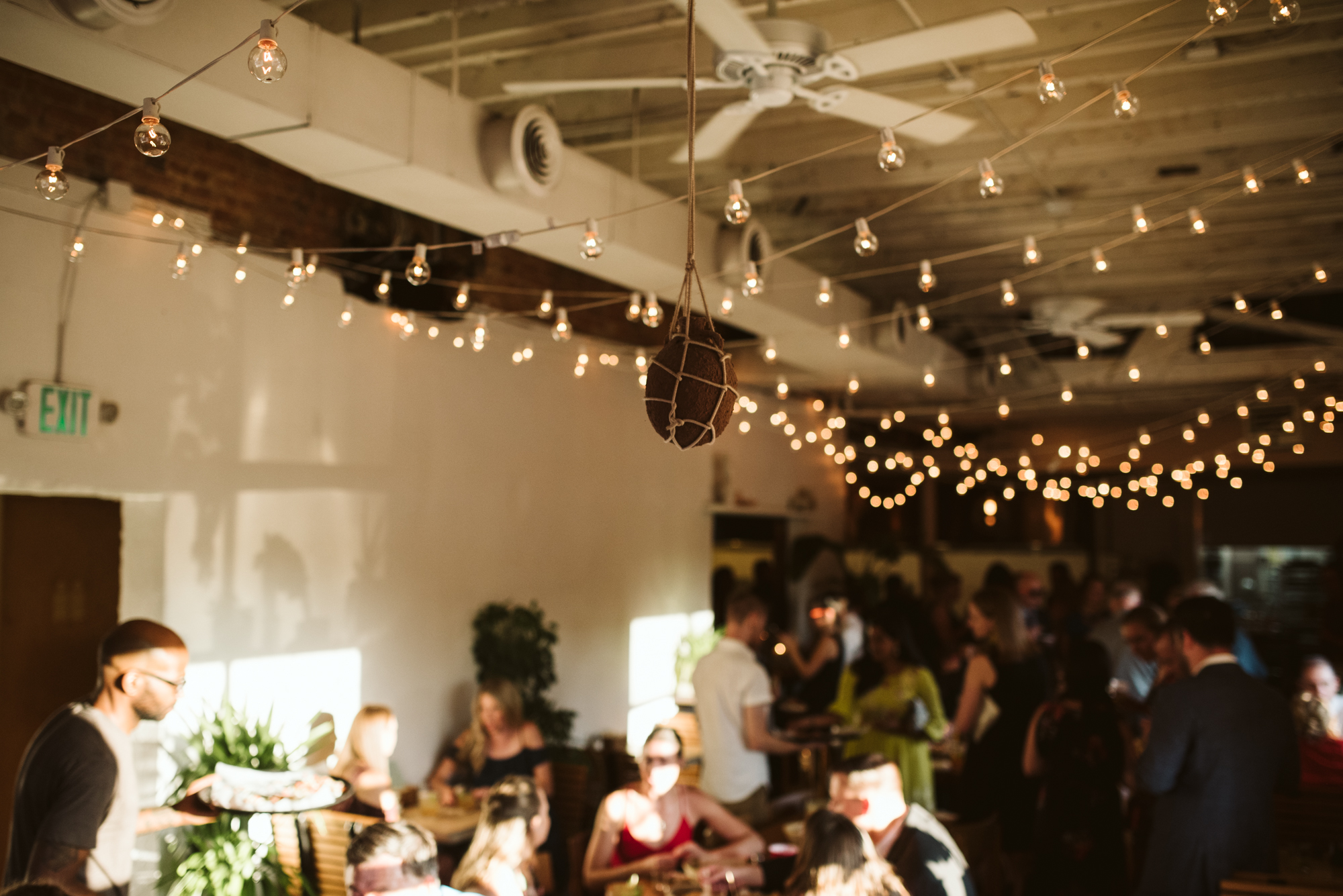 Outdoor Wedding, Casual, Simple, Baltimore, Maryland Wedding Photographer, Laid Back, September Wedding, Reception Decor, String Lights