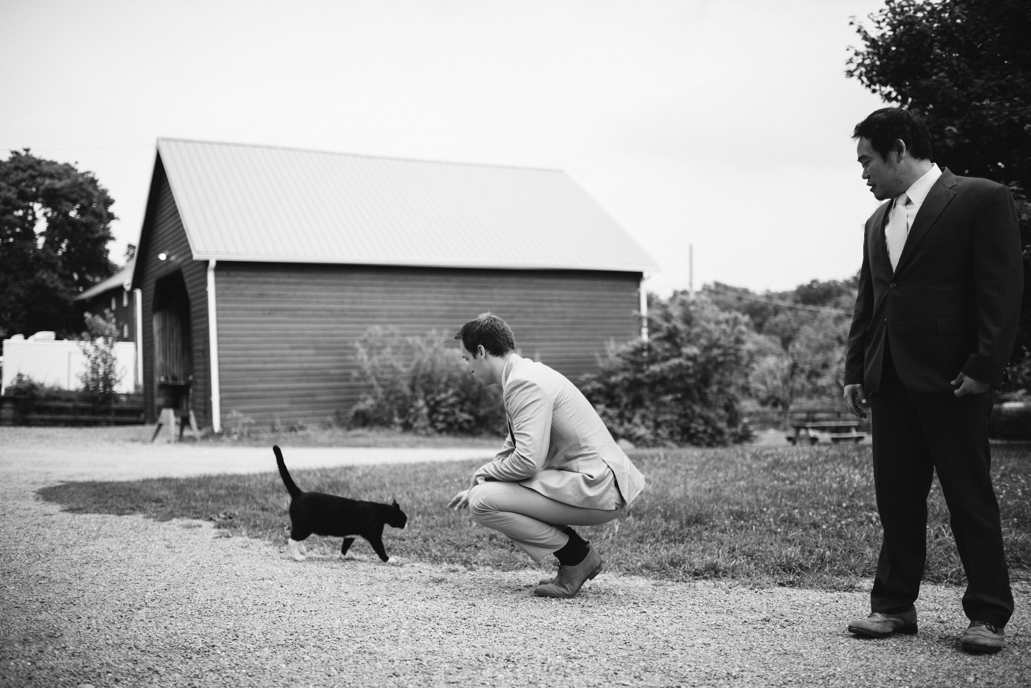 Rocklands Farm, Maryland, Intimate Wedding, Baltimore Wedding Photographer, Sungold Flower Co, Rustic, Romantic, Barn Wedding, Wedding Guest with Farm Cat, Black and White Photo