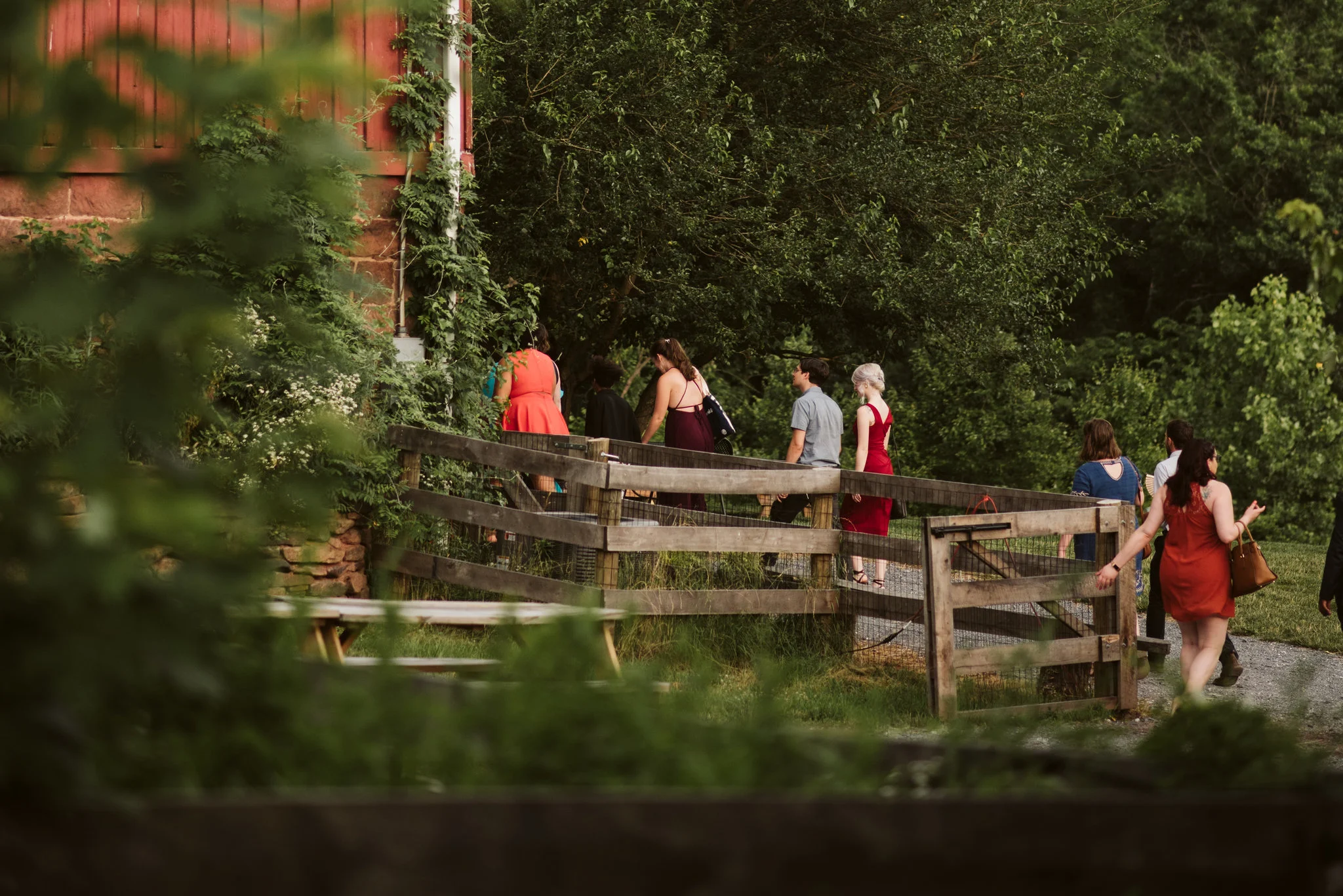 Rocklands Farm, Maryland, Intimate Wedding, Baltimore Wedding Photographer, Sungold Flower Co, Rustic, Romantic, Barn Wedding, Wedding Guests Walking to Reception