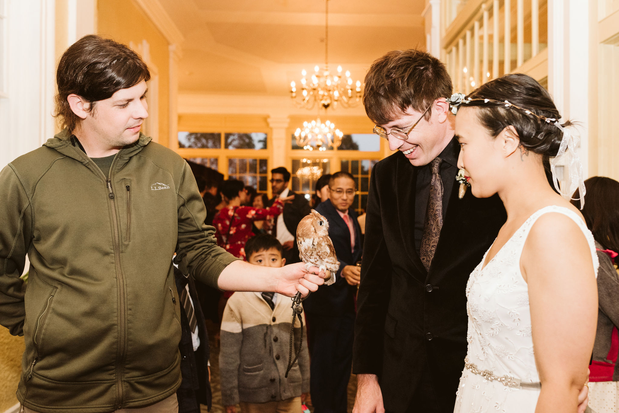  Baltimore, Maryland Wedding Photographer, The Mansion House at the Maryland Zoo, Relaxed, Romantic, Laid Back, Bride and Groom with Small Barn Owl at Reception, Animal Handler at the Zoo 