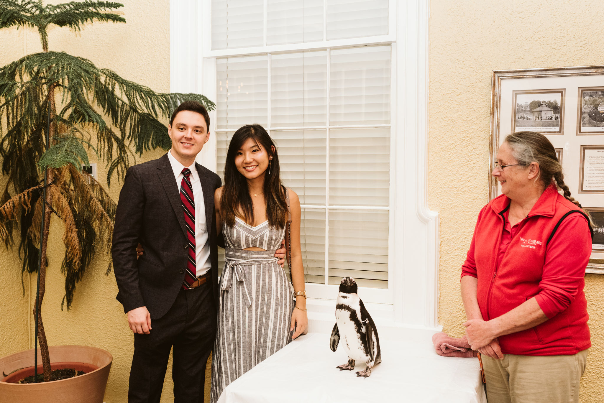  Baltimore, Maryland Wedding Photographer, The Mansion House at the Maryland Zoo, Relaxed, Romantic, Laid Back, Guests Taking Photo with Penguin at Reception 