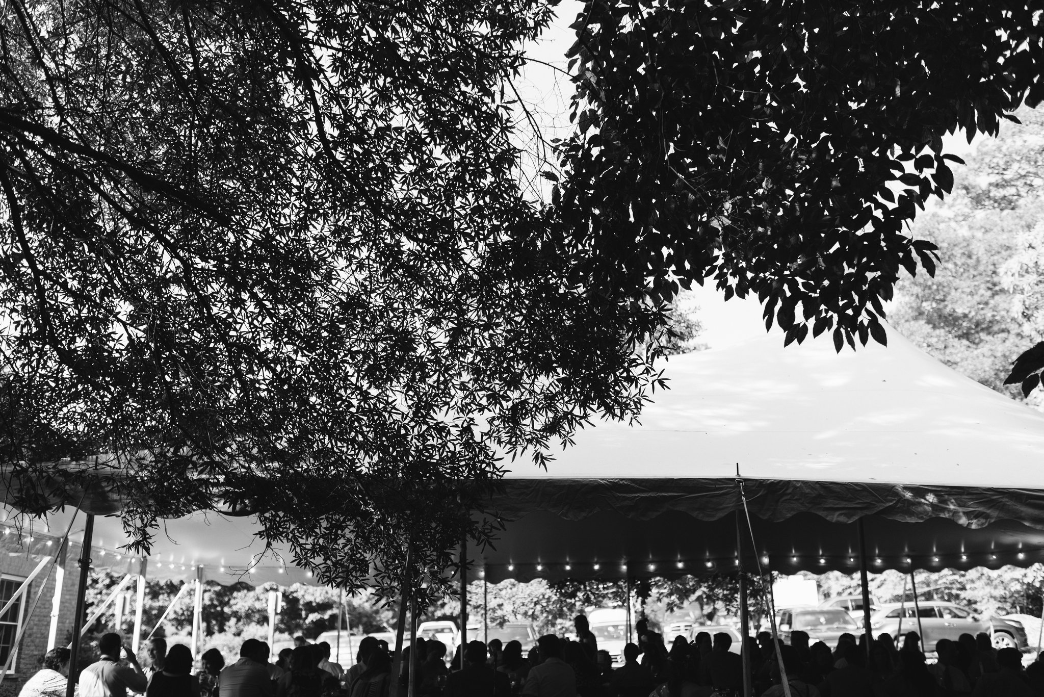Annapolis, Quaker Wedding, Maryland Wedding Photographer, Intimate, Small Wedding, Vintage, DIY, Wedding Guests Under Tent, Outdoor Reception, Black and White Photo