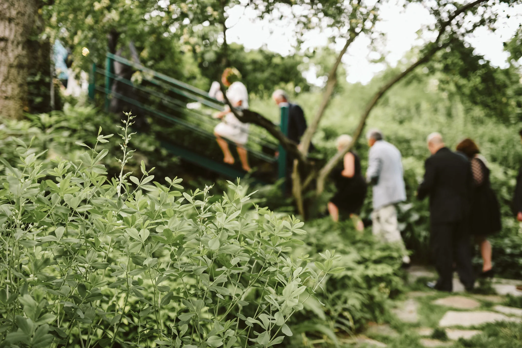 Hampden, Baltimore, Maryland Wedding Photographer, Garden Wedding, Classic, DIY, Romantic, Wedding Guests Heading Up Stairs in the Garden After Ceremony