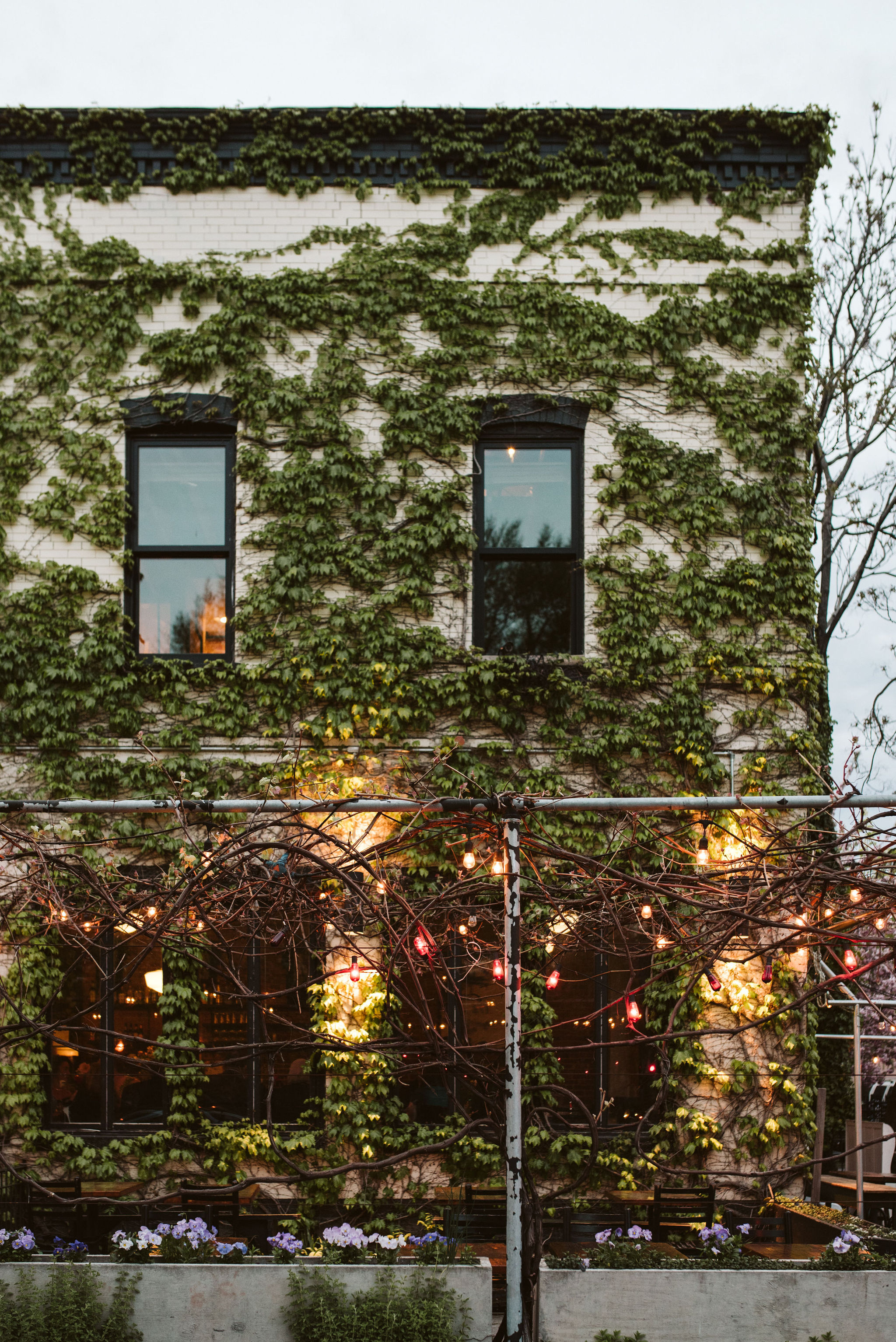  Washington DC, Baltimore Wedding Photographer, Intimate Wedding, Traditional, Classic, Big Bear Cafe, Exterior of Reception Venue Covered in Ivy 