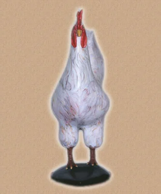swayback front.jpg