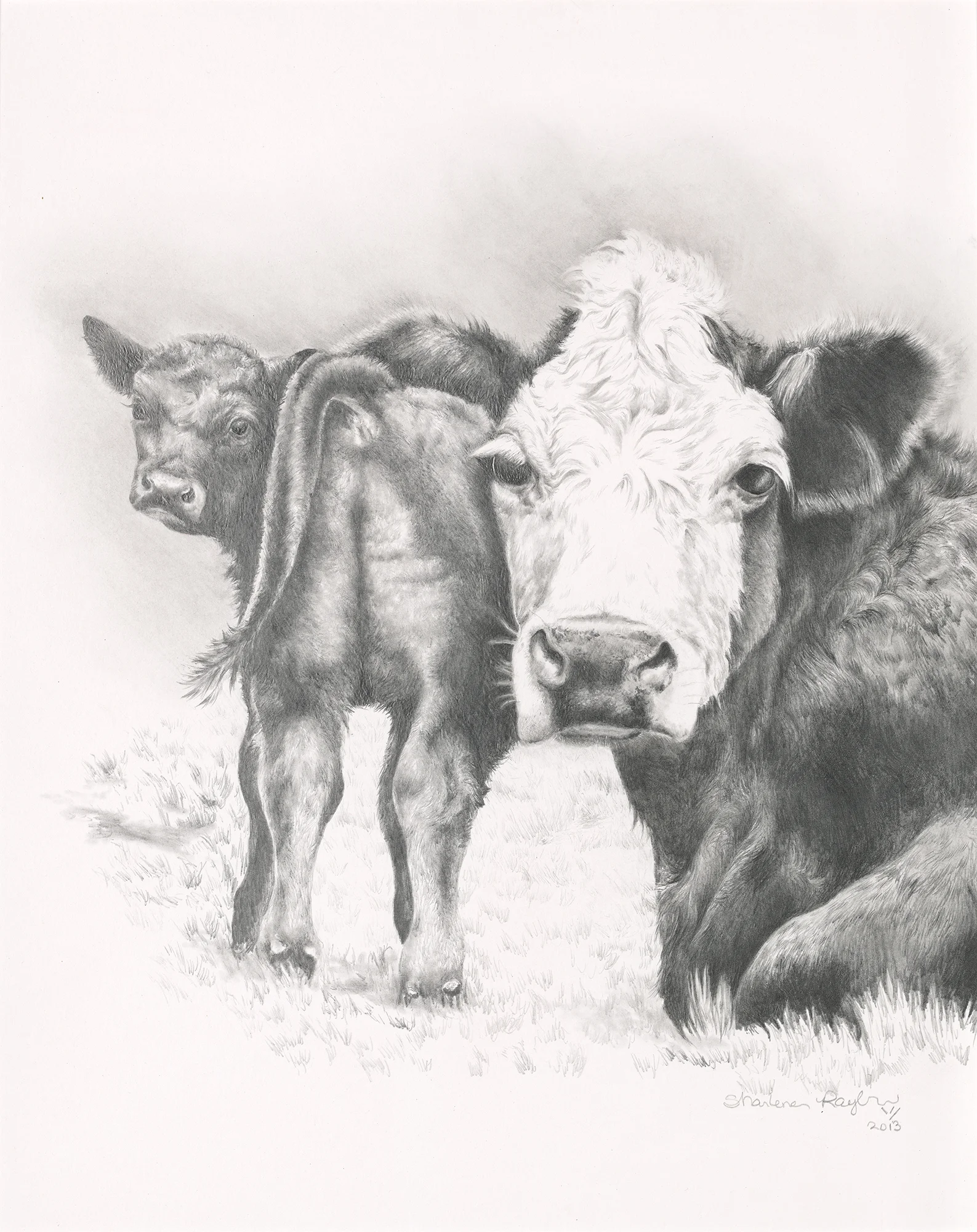 "1010 Cow" - SOLD
