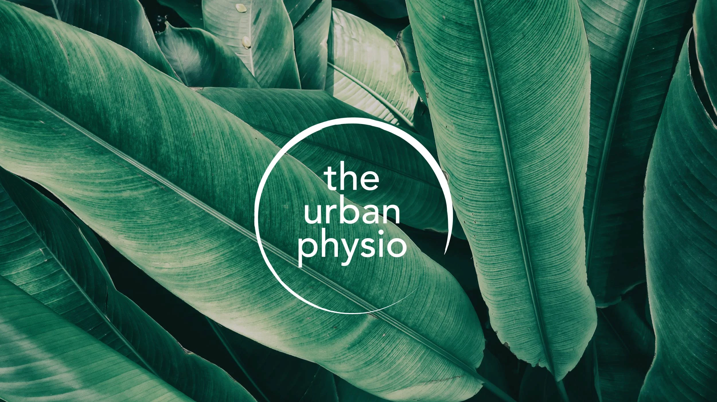 DetailStudio-TheUrbanPhysio-LogoBanner.jpg