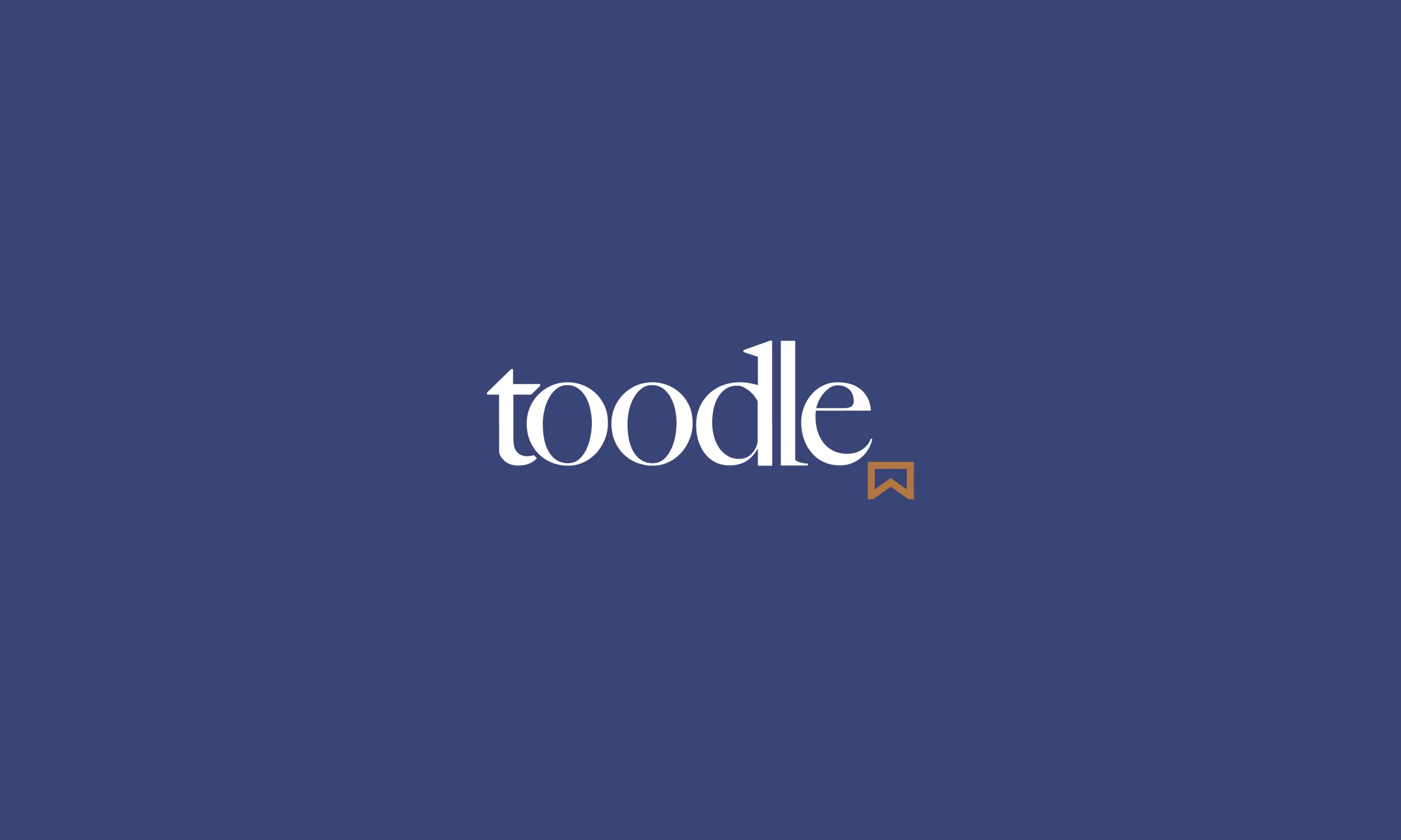 Detail-Toodle-LogoBanner.jpg