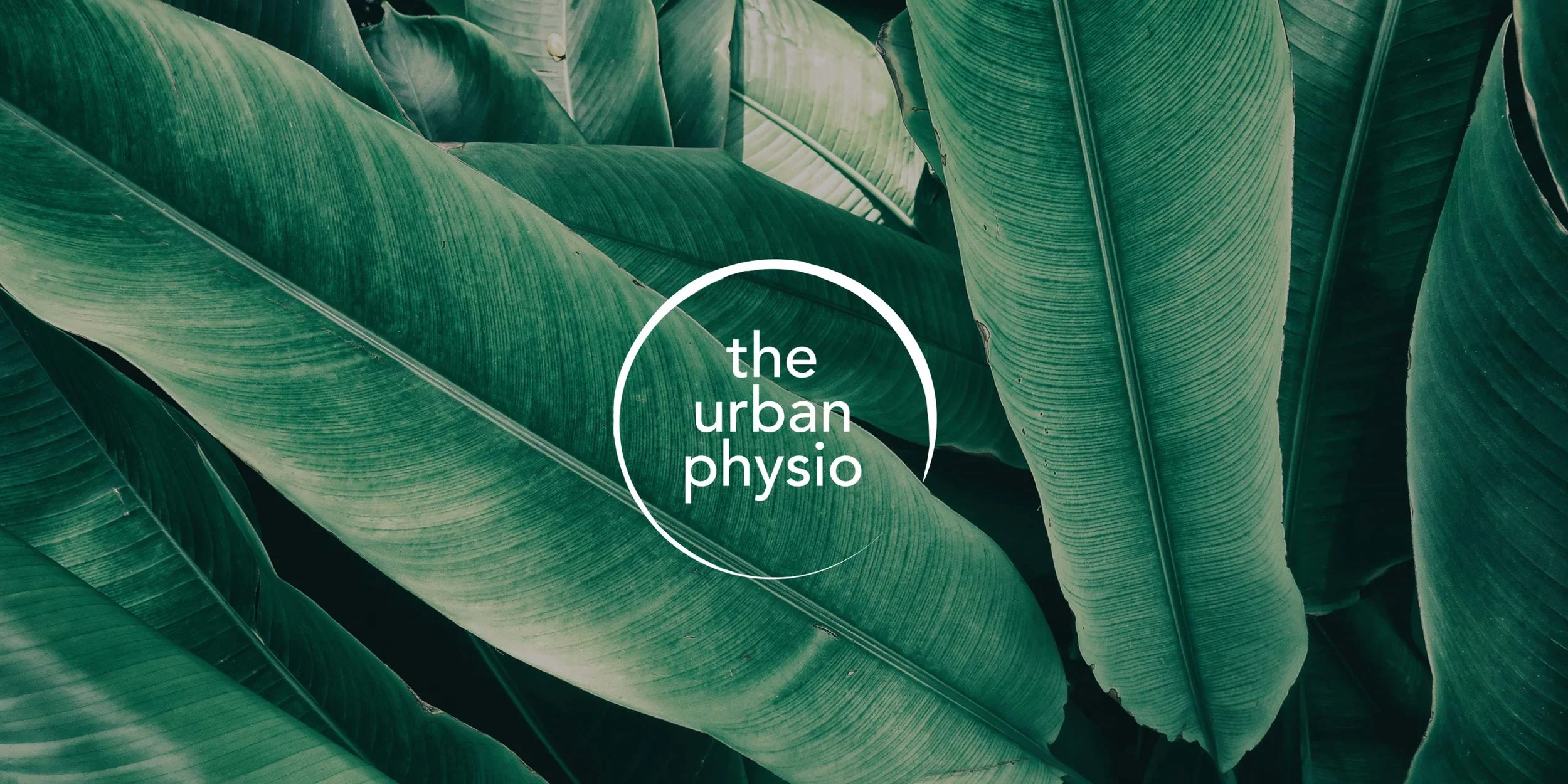 DetailStudio-TheUrbanPhysio-Banner.jpg