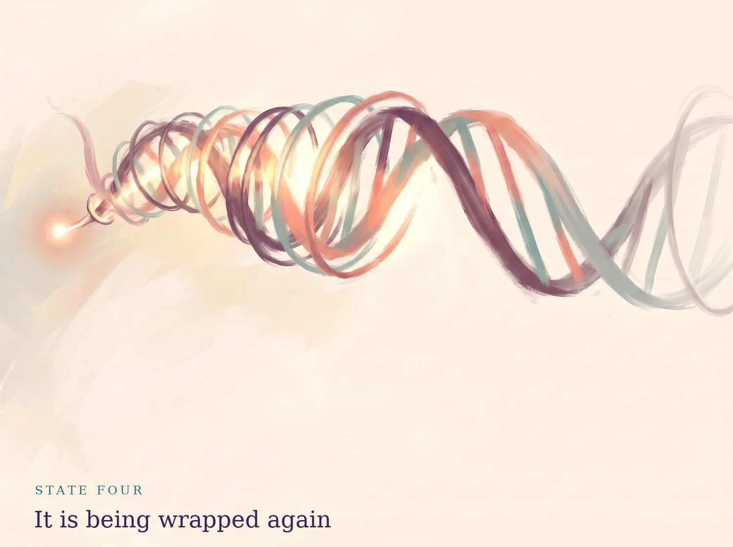 Painting: new coils forming along the helix with the glow returning, one stretch still bare near the end