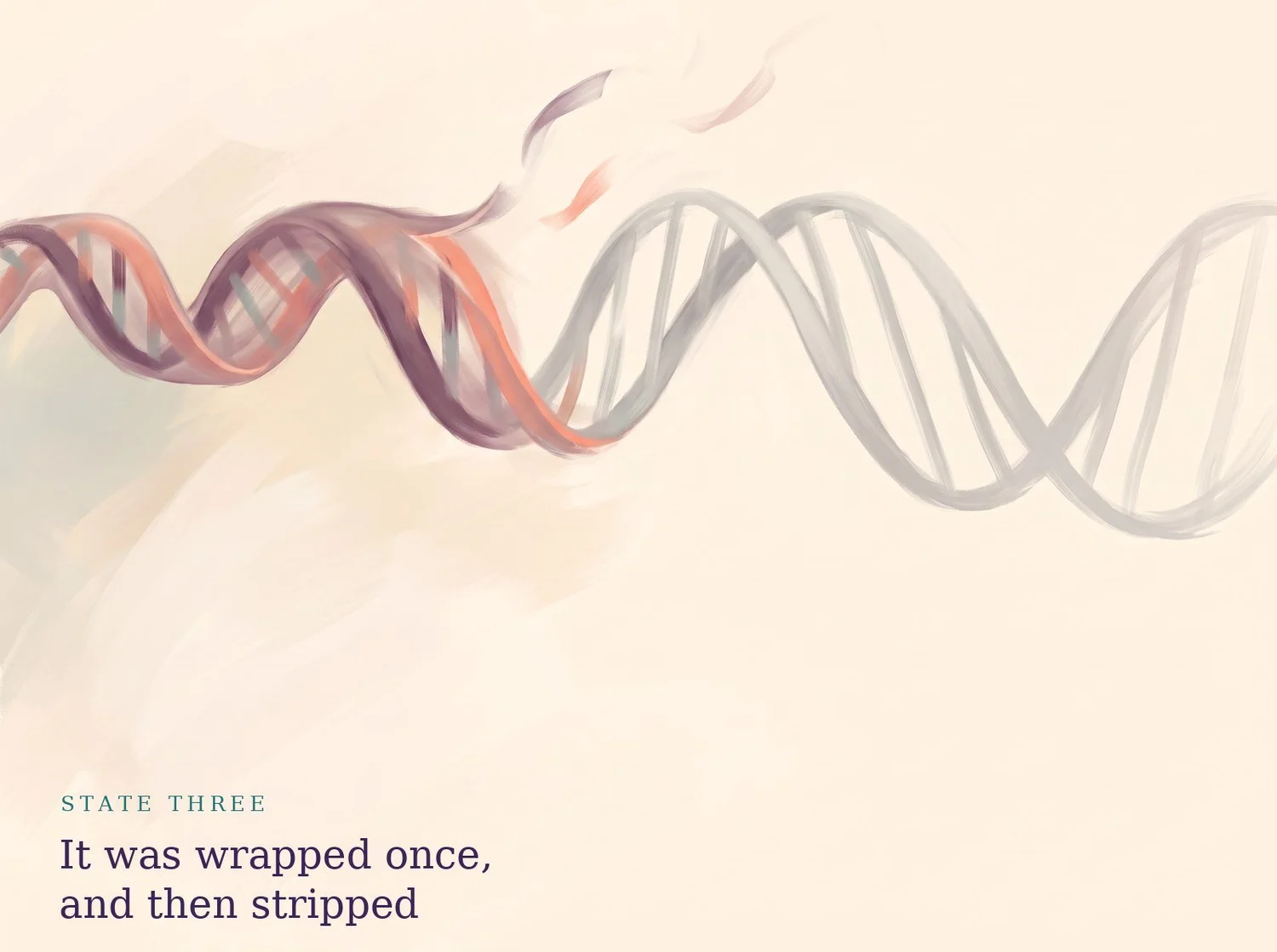 Painting: wrapping at the left tears open into drifting fragments, leaving the rest of the helix pale and bare