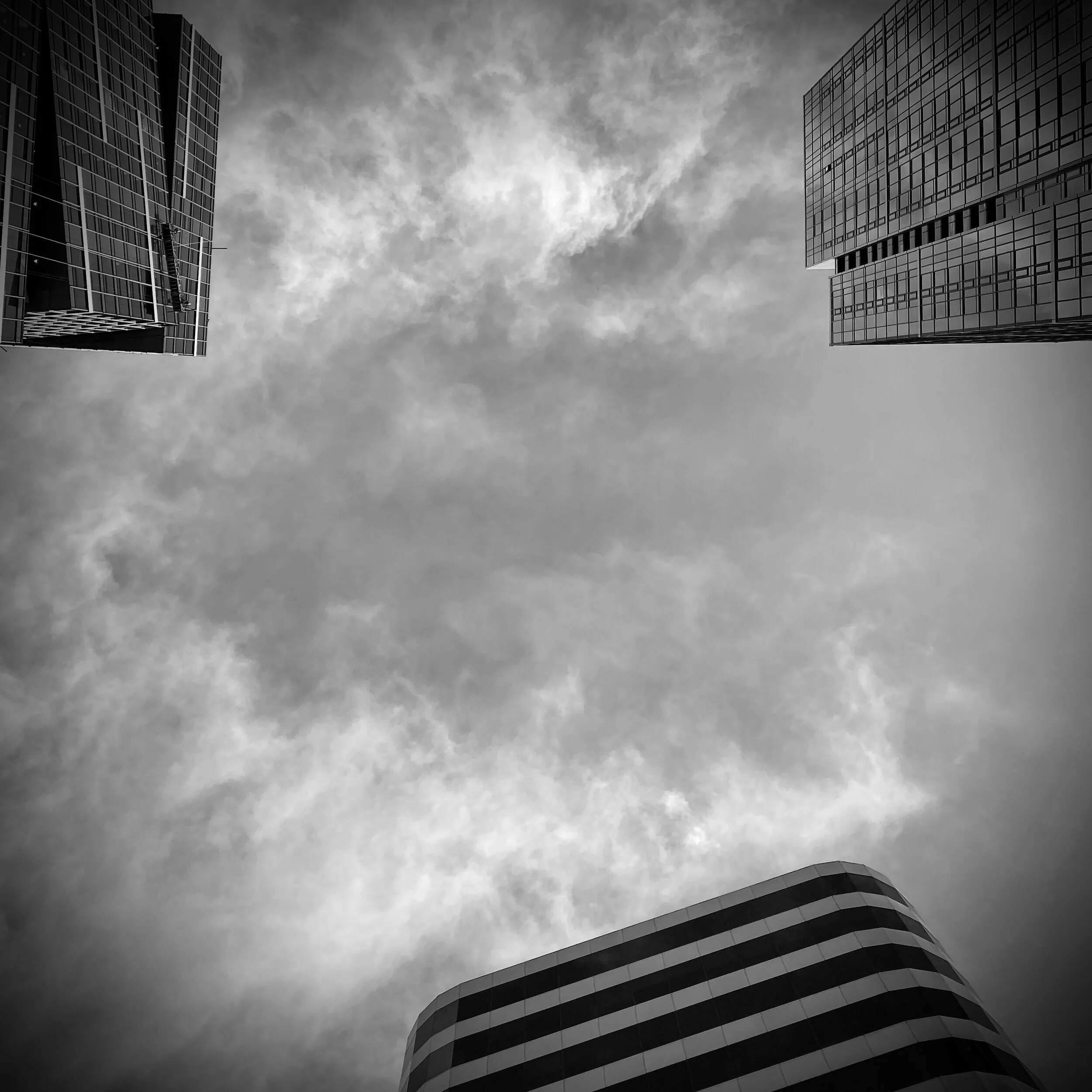 IMG_5485.jpg