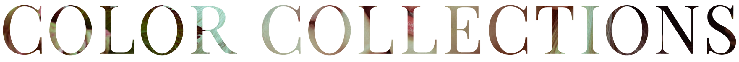 Title Design.png