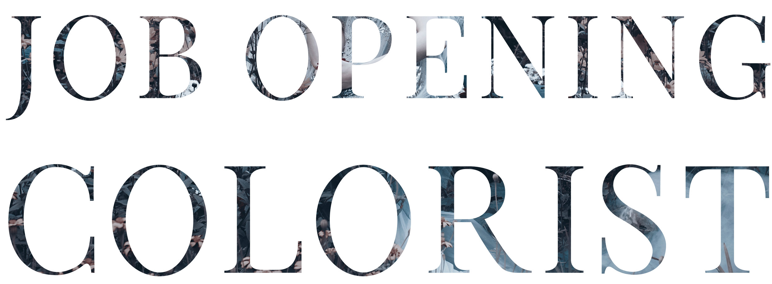 Job Opening - Colorist.jpg