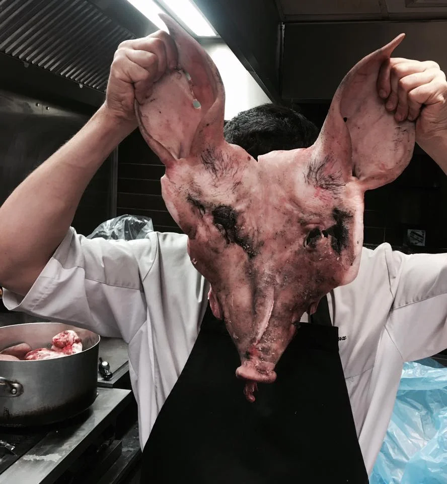 cochon.jpg
