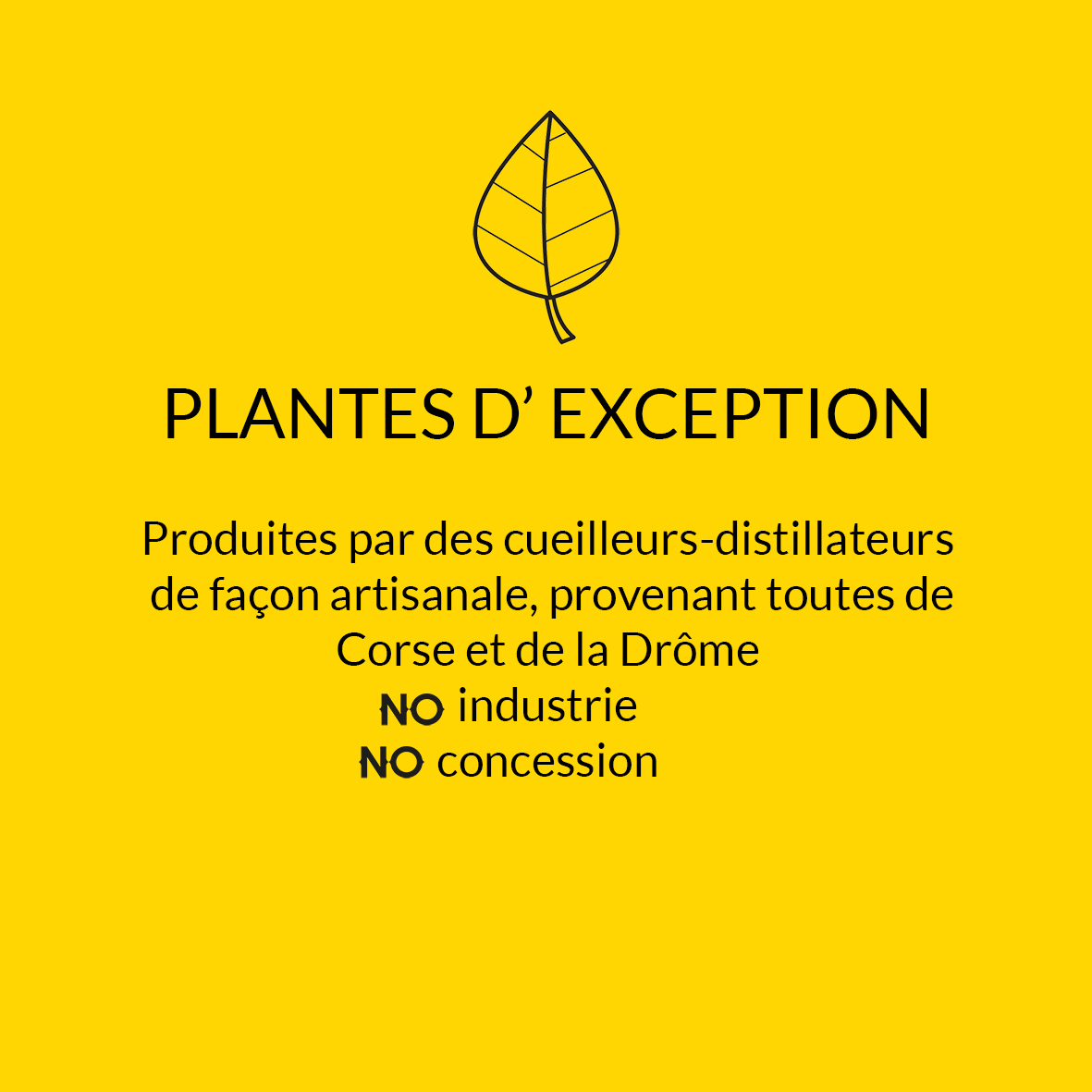 plantes d'exception.jpg