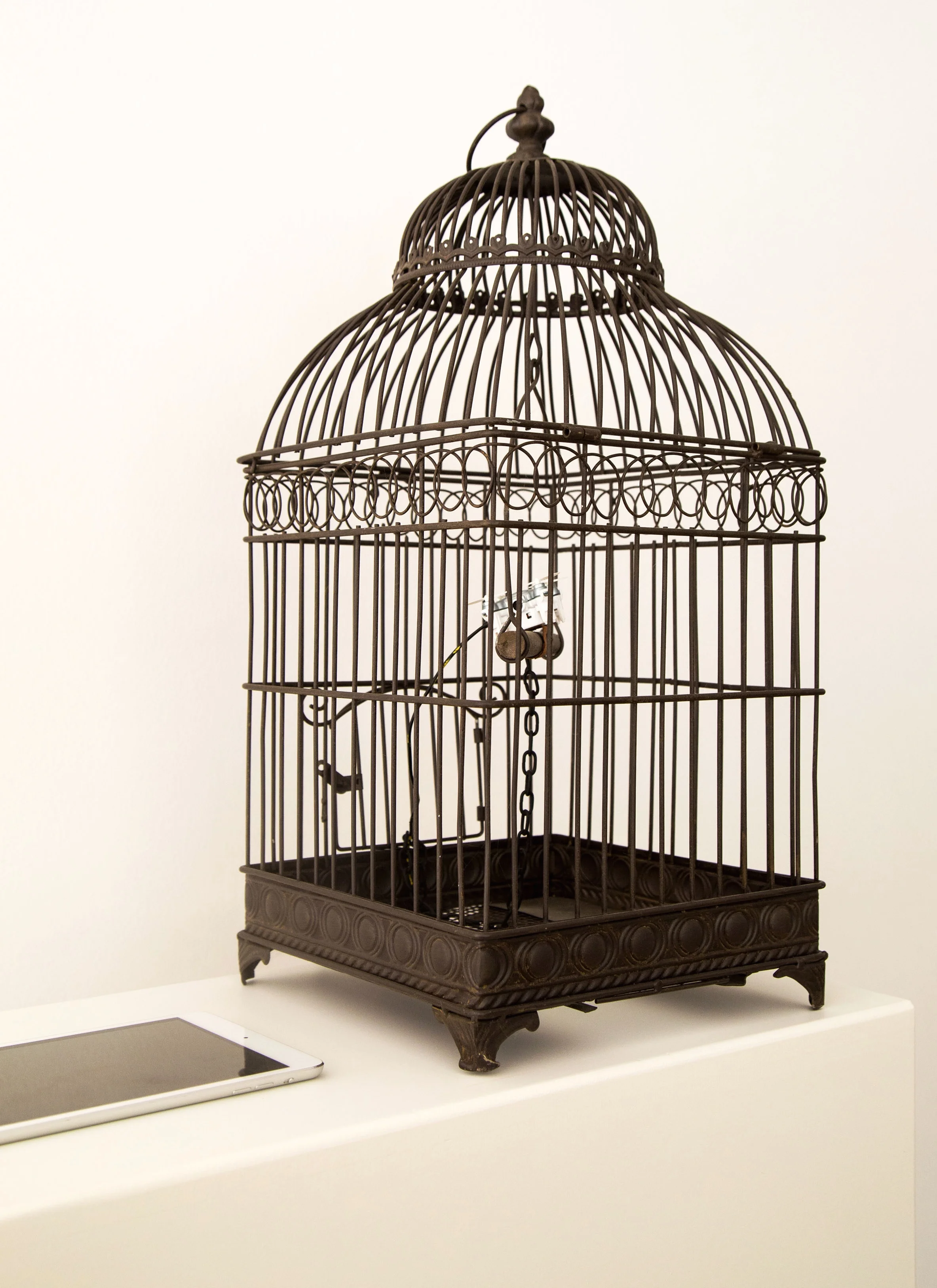 Drone in a Cage
