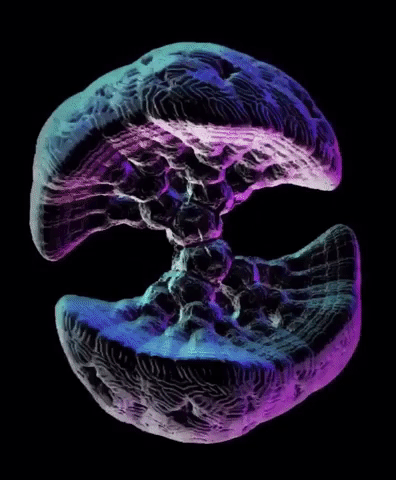 giphy-2.gif