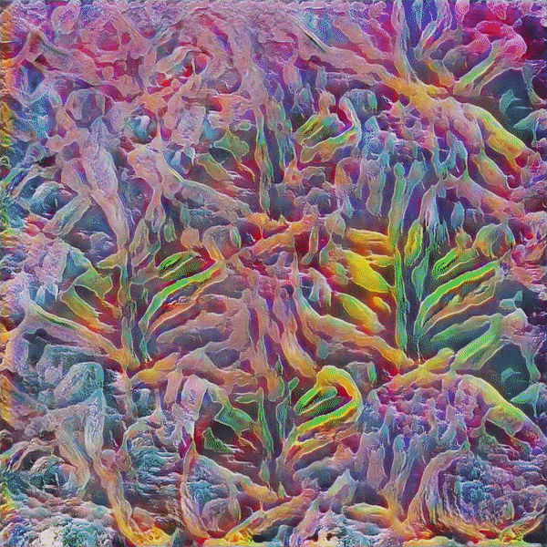 "PET Mutation Bacteria"