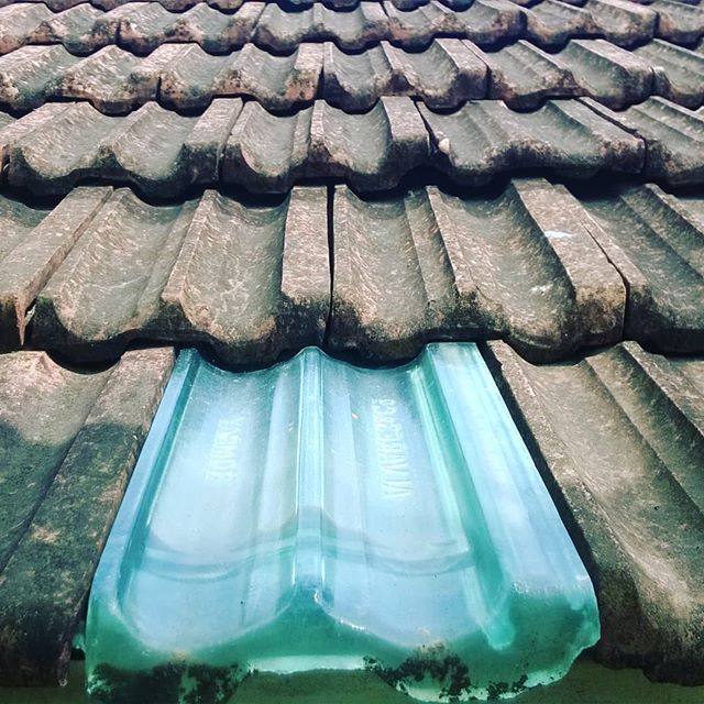 Things that pop out.

These roofs were re-done when we moved back home. Some clay tiles were replaced with glass one's to let in some natural sunlight.

#home #homedocumentation #thehomedocumentationproject #pune #old #75years #tiles #roof
