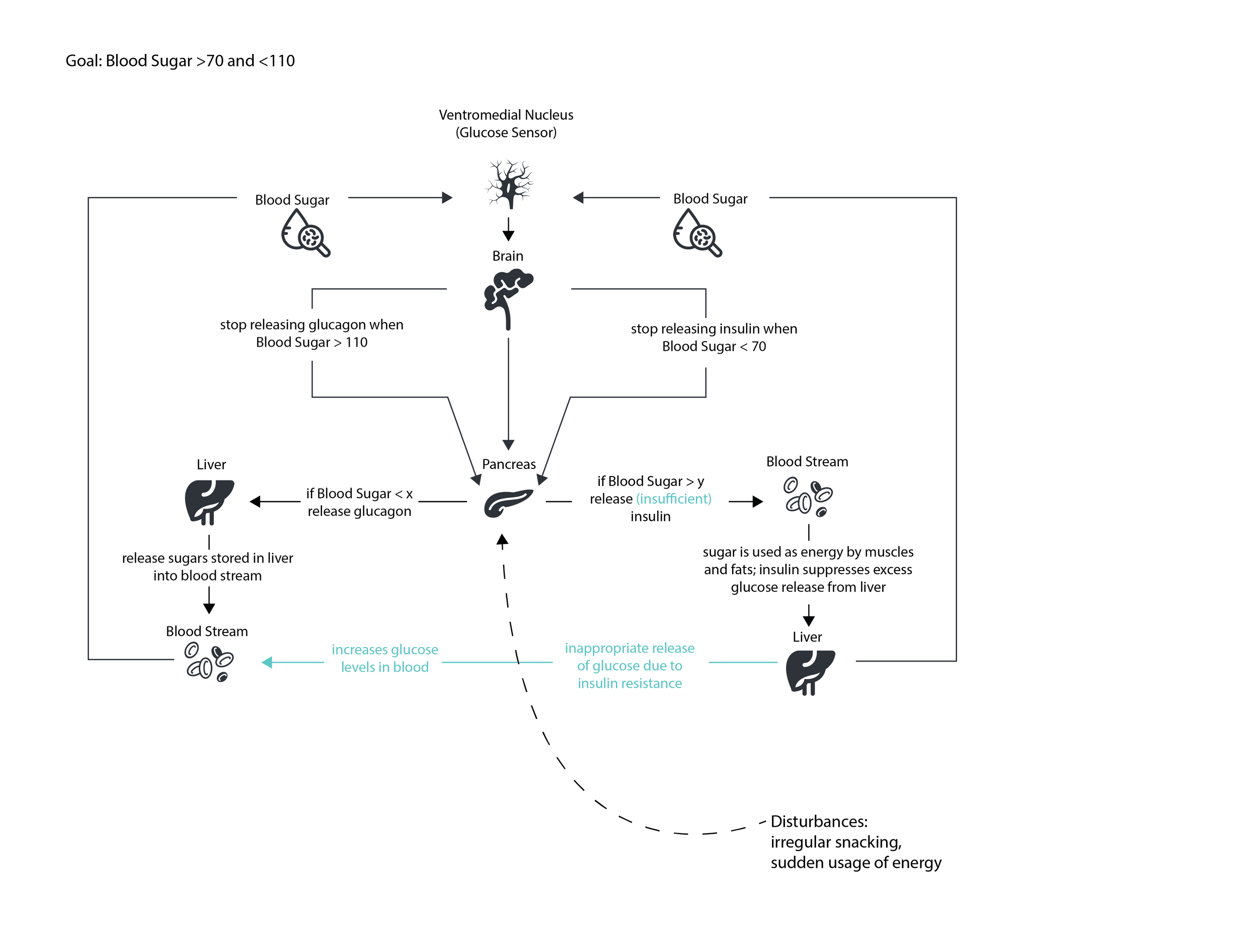 ProductServiceEcology-Diabetes-11.png