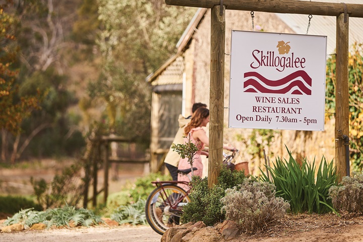 Clare-Valley-cycling.jpg